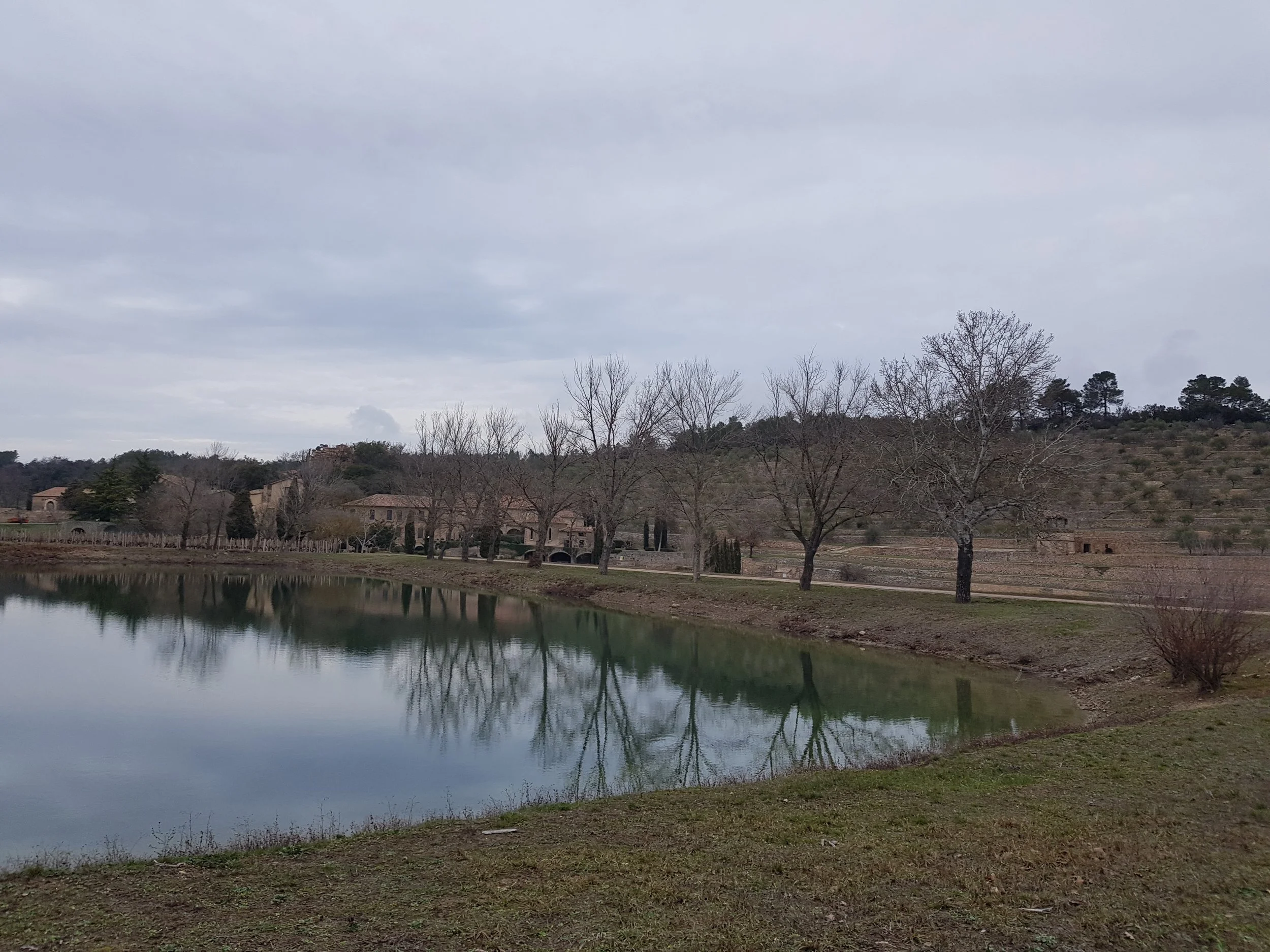 20180201_165051.jpg