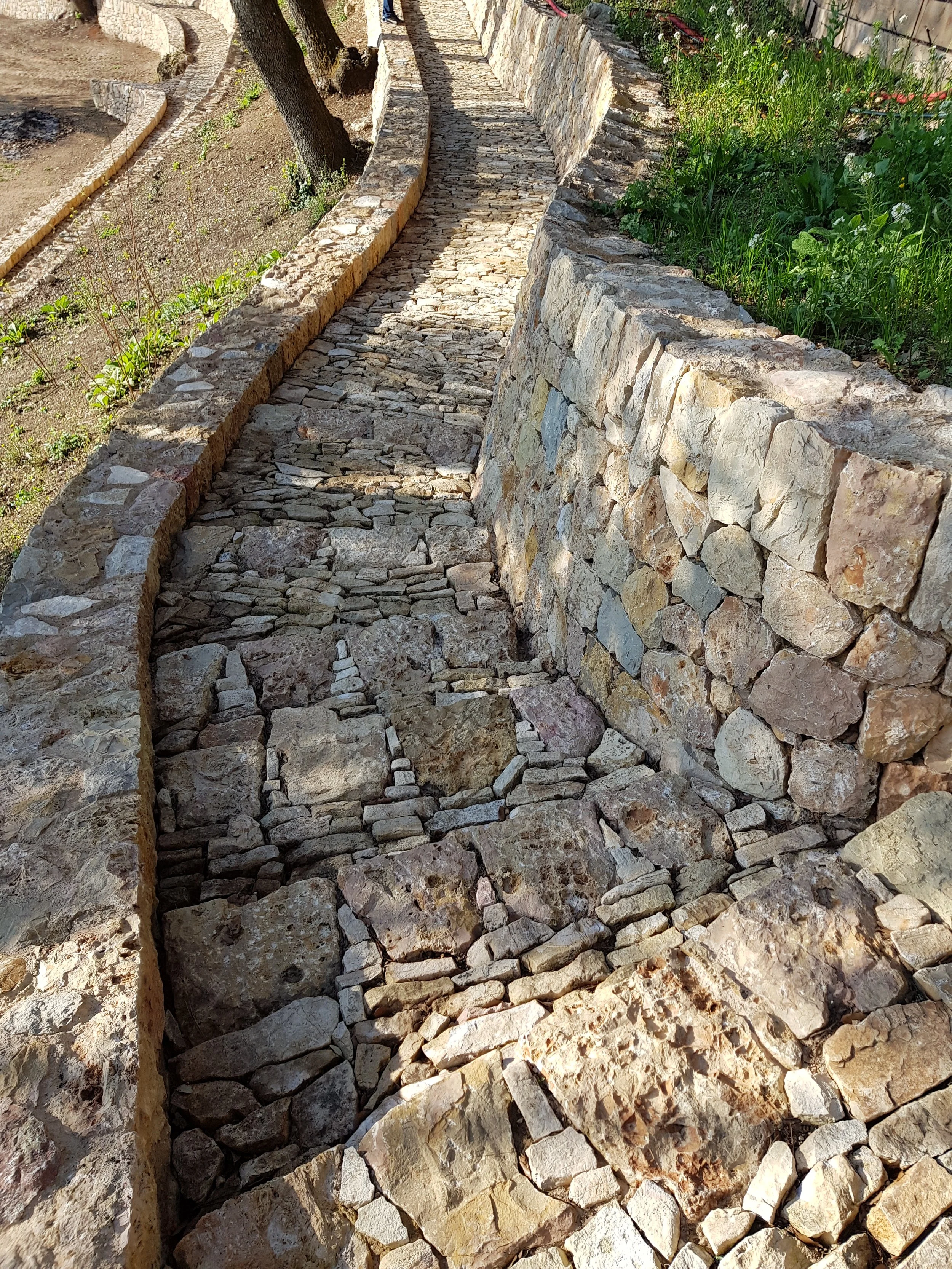 20180418_090344.jpg