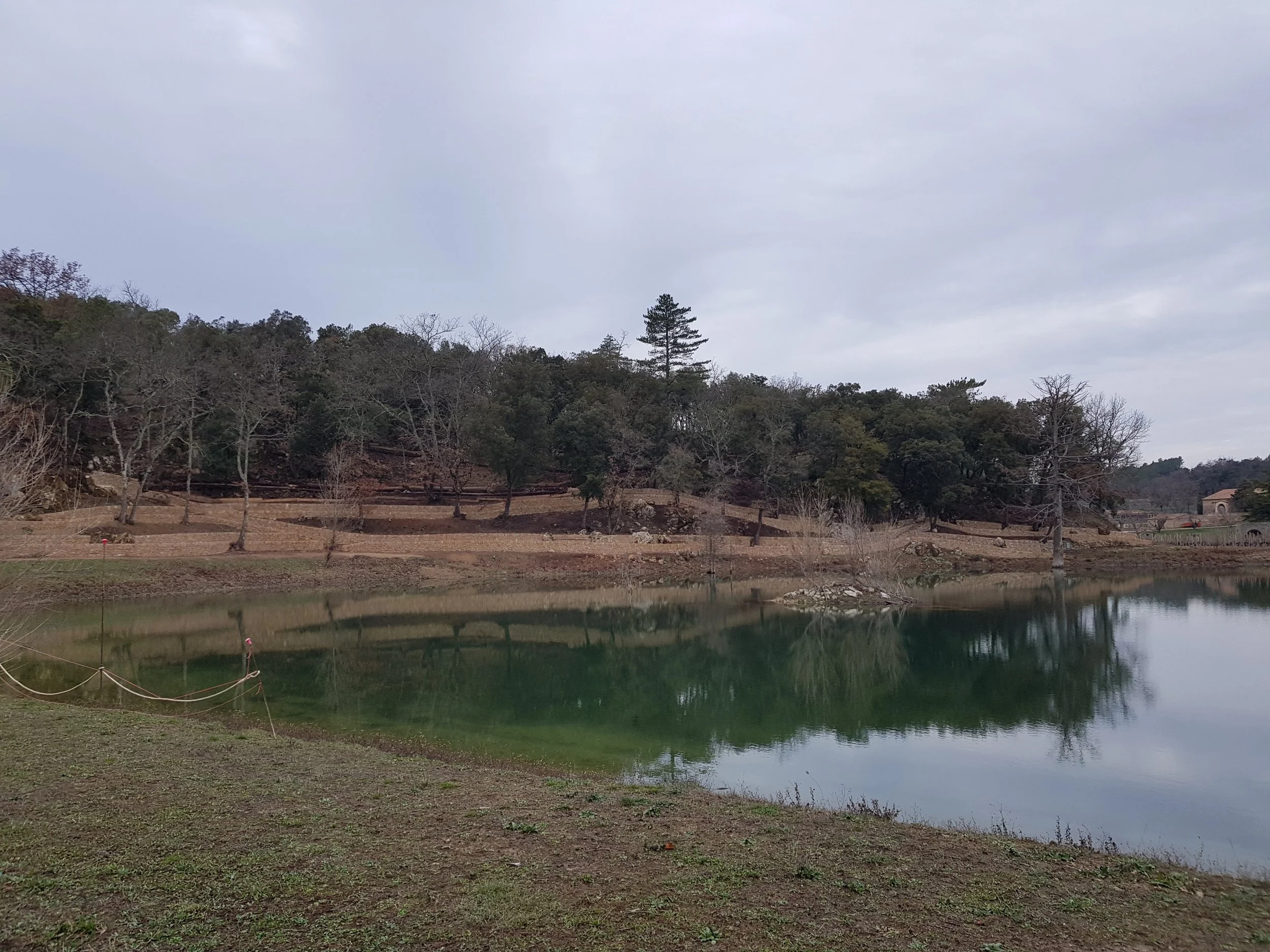 20180201_165041.jpg