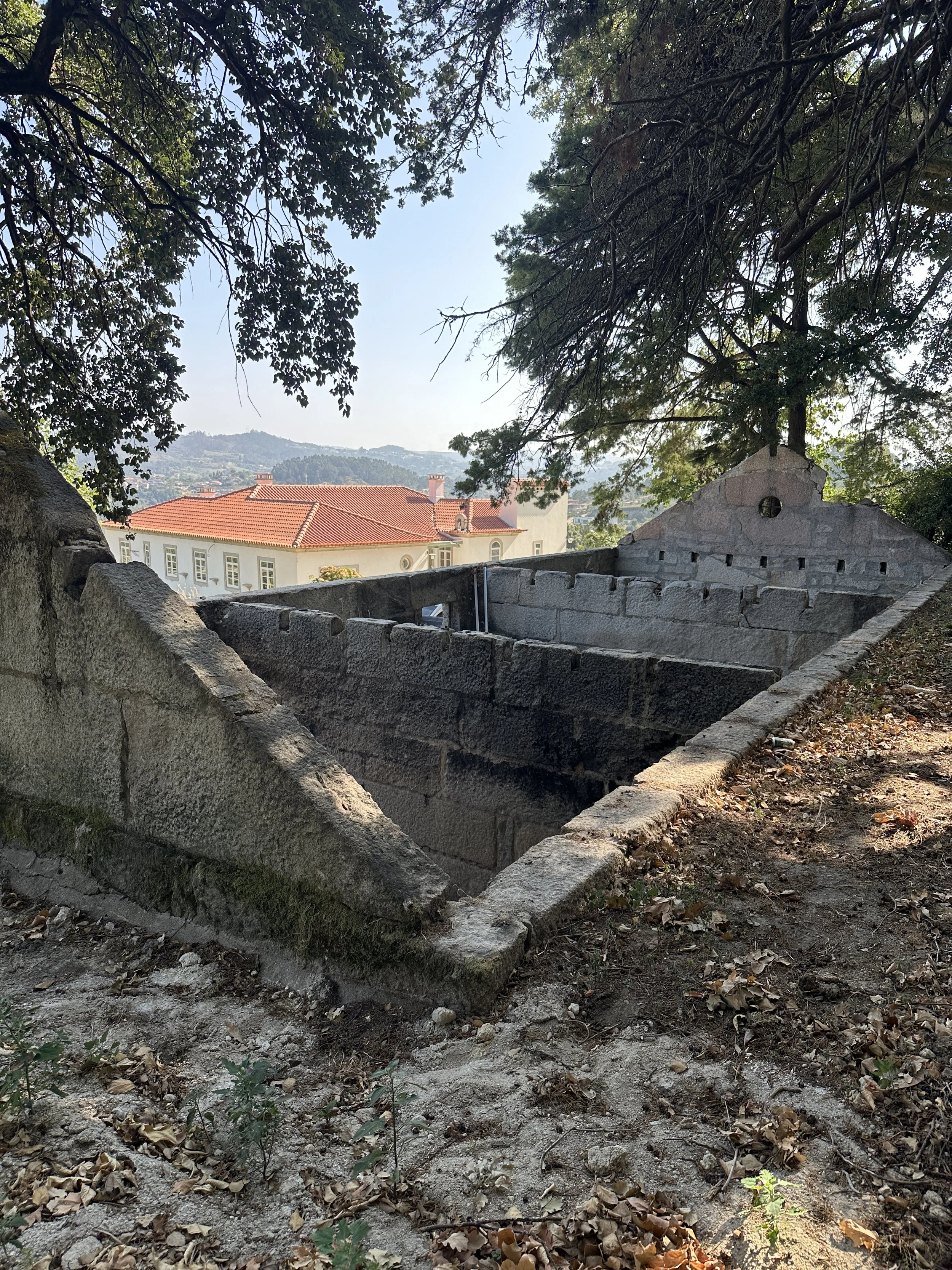 IMG_6126.JPG
