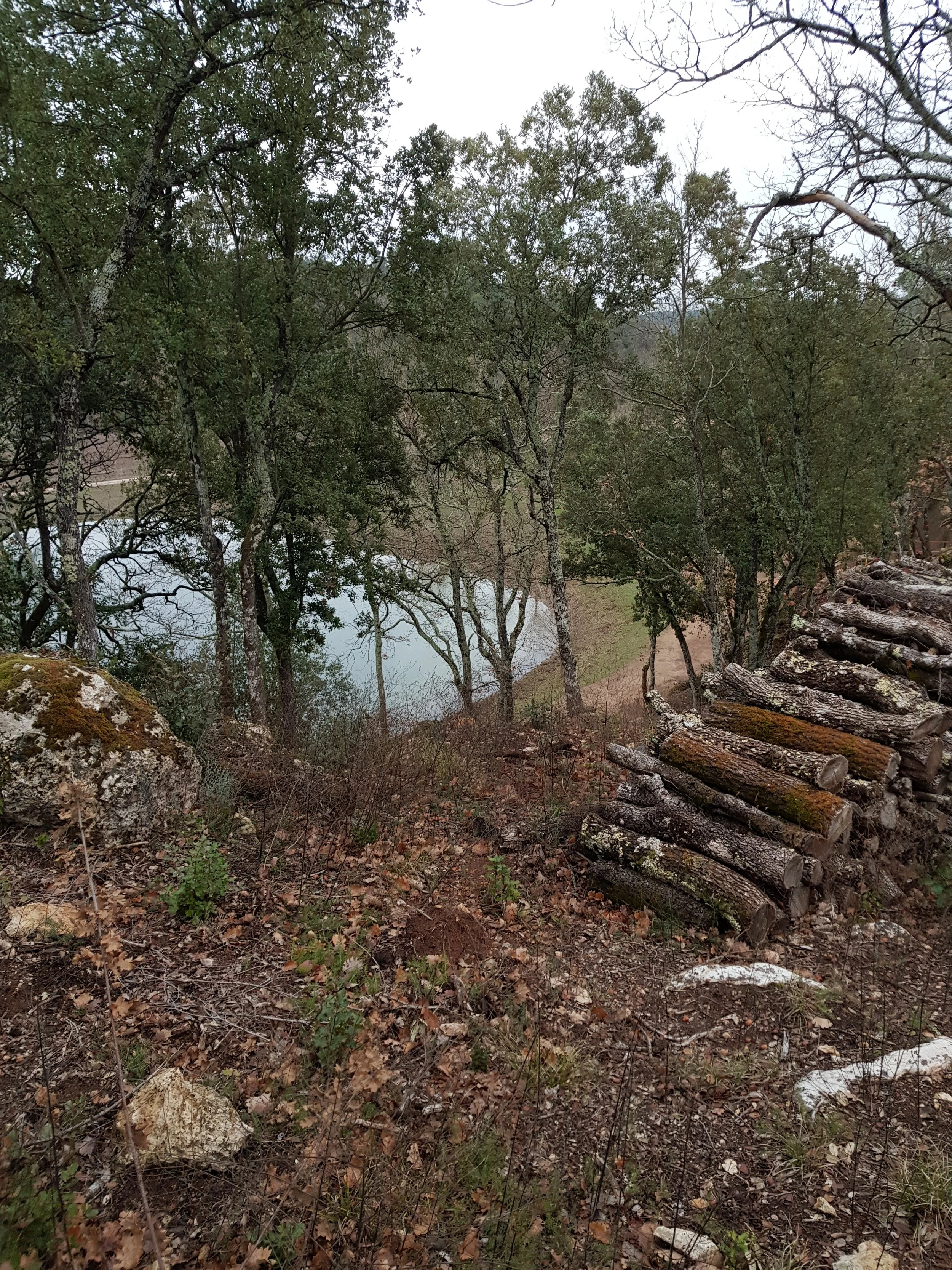 20180201_170633.jpg