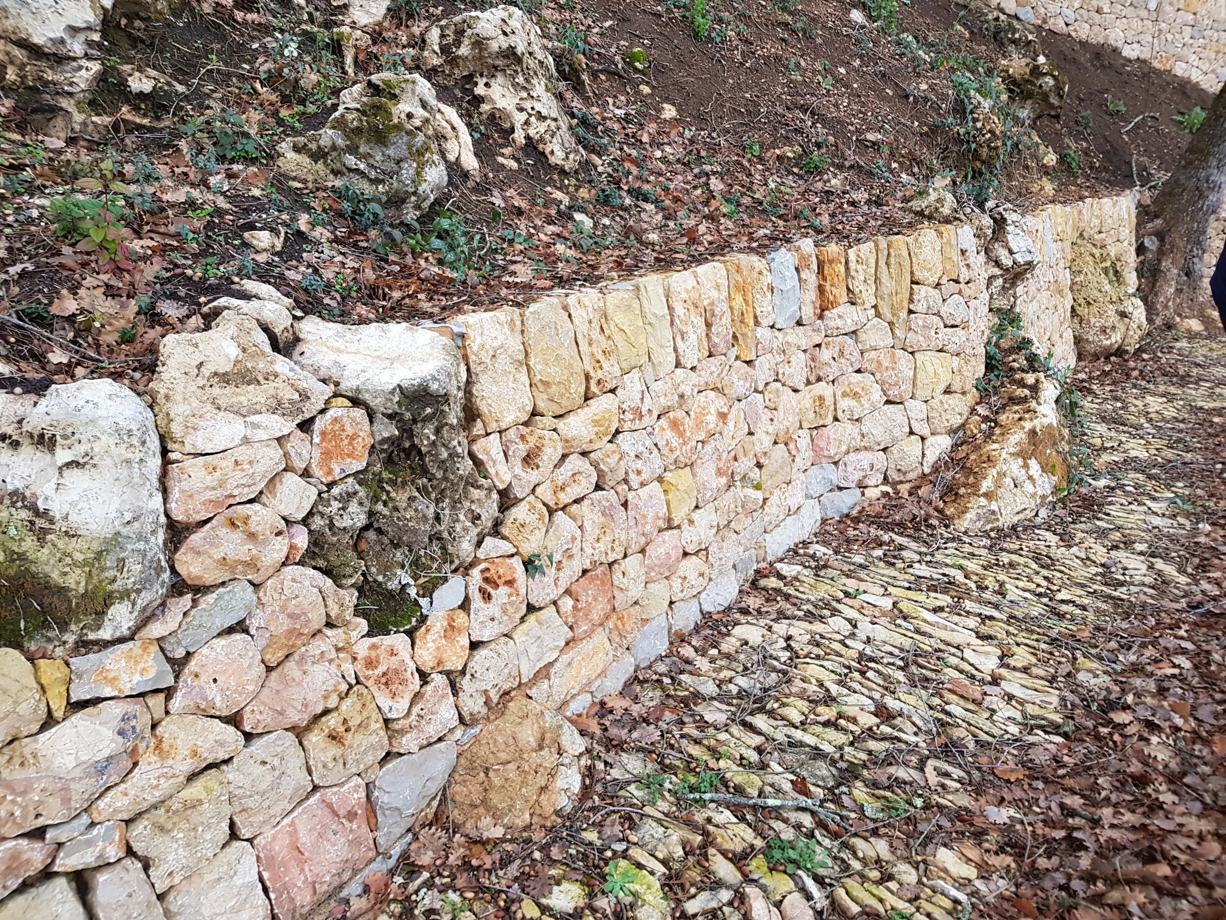 20180201_165915.jpg