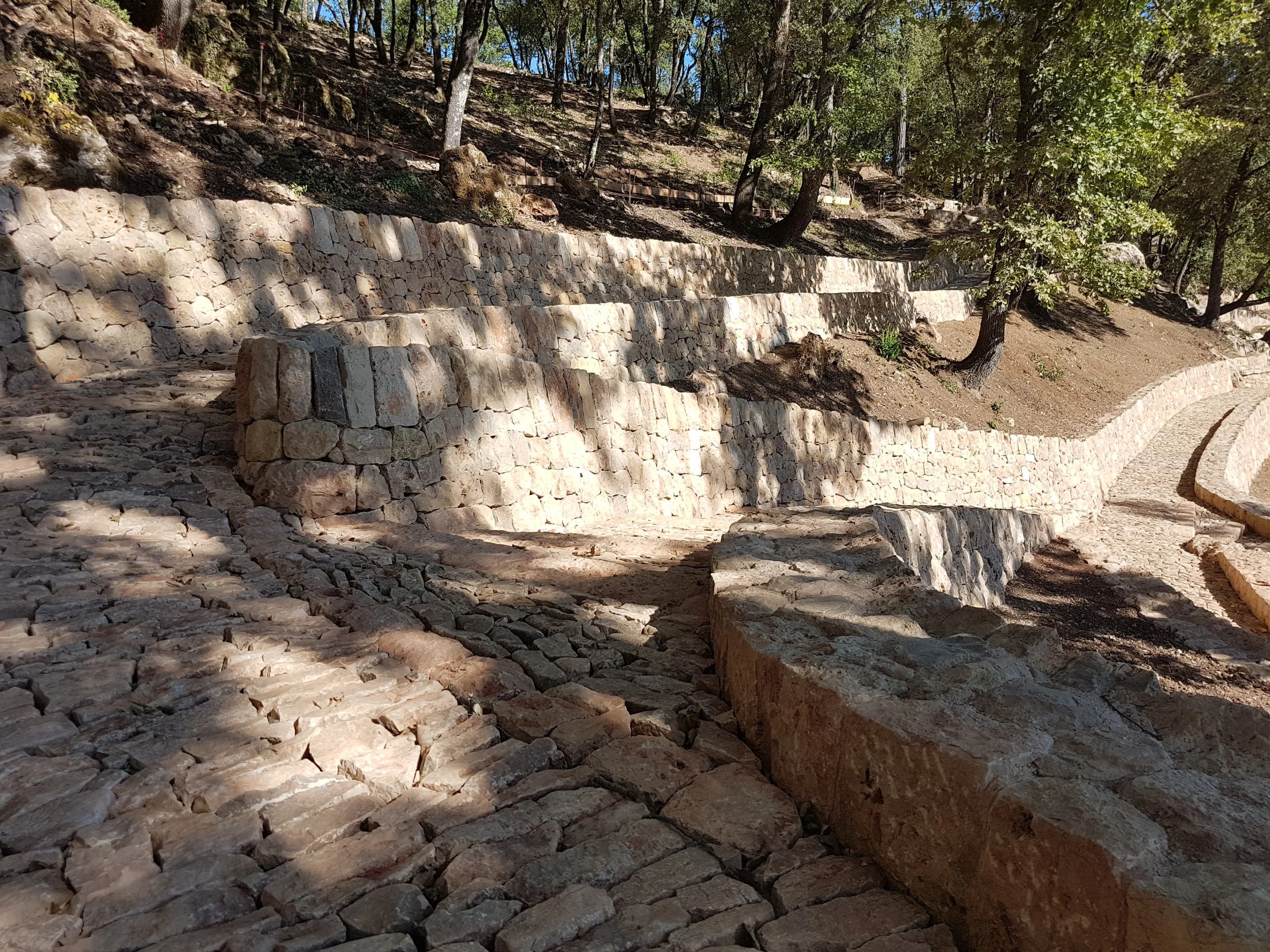 20170726_094430.jpg
