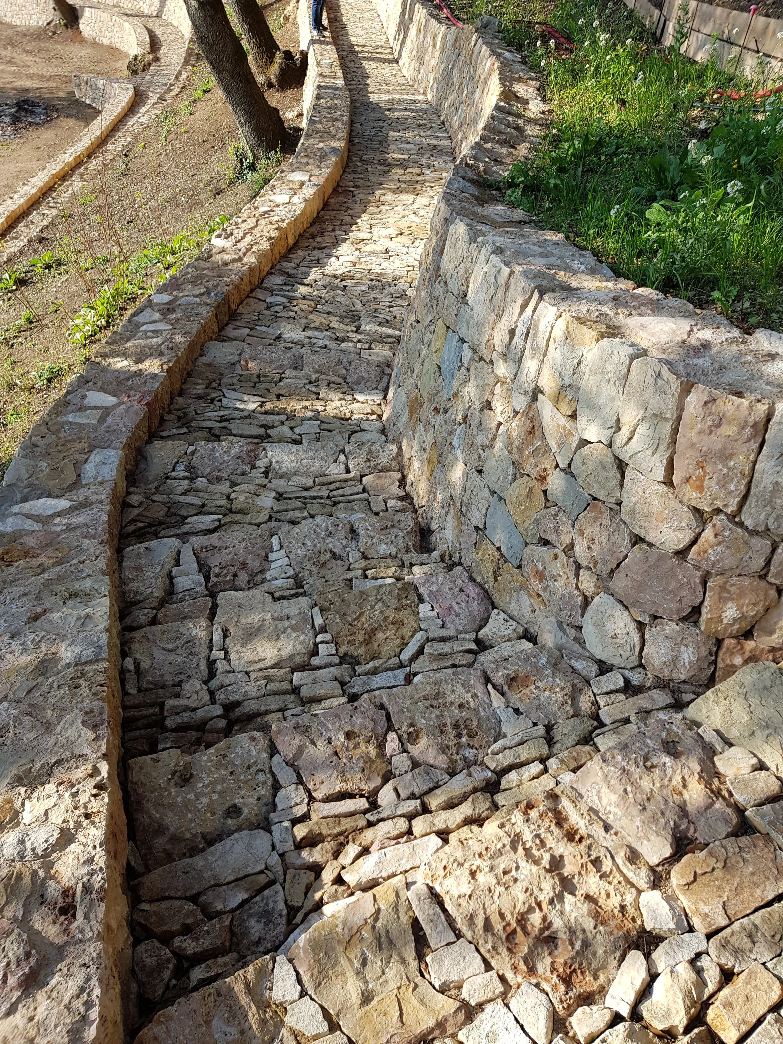 20180418_090345.jpg