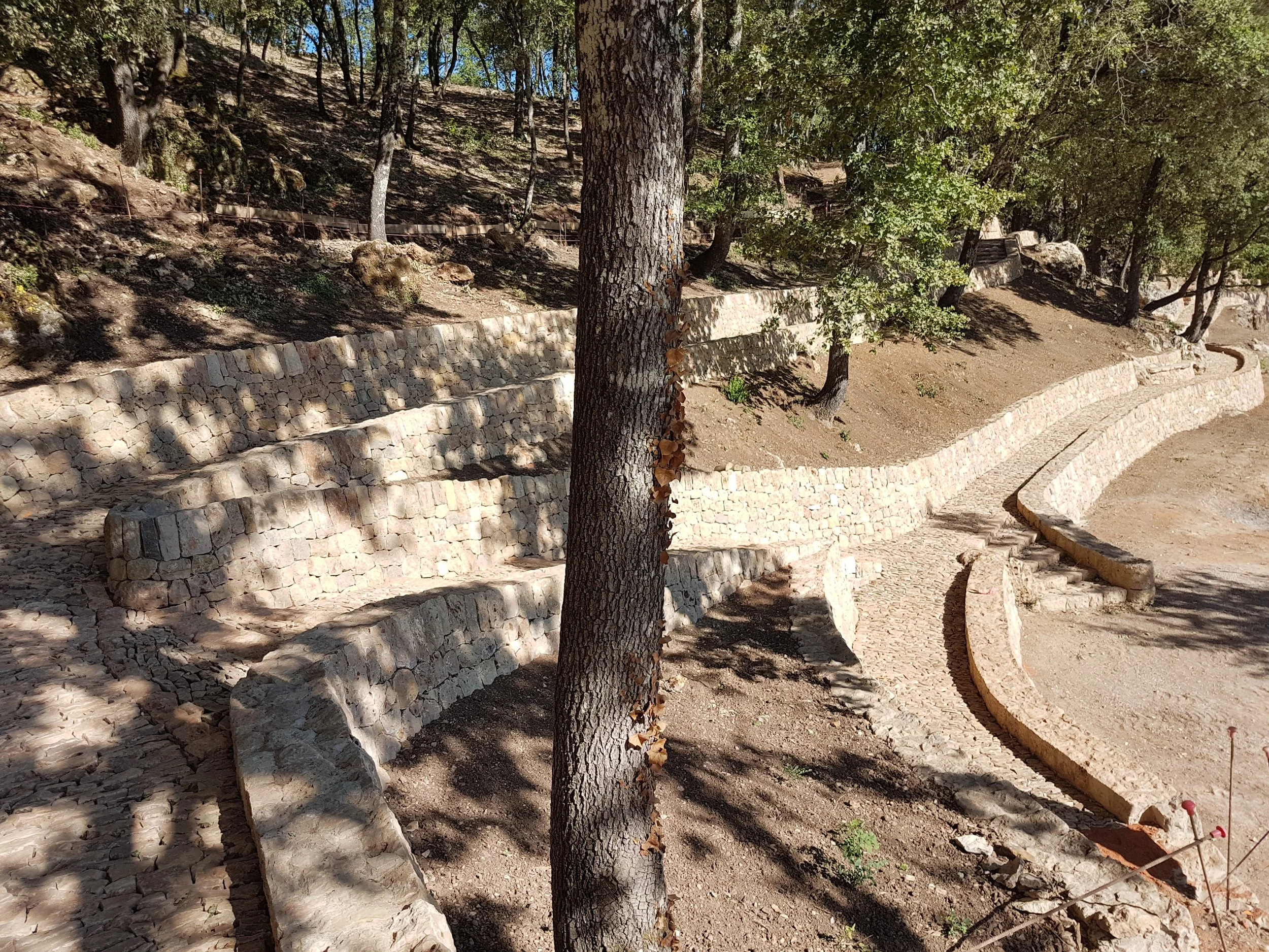 20170726_094338.jpg