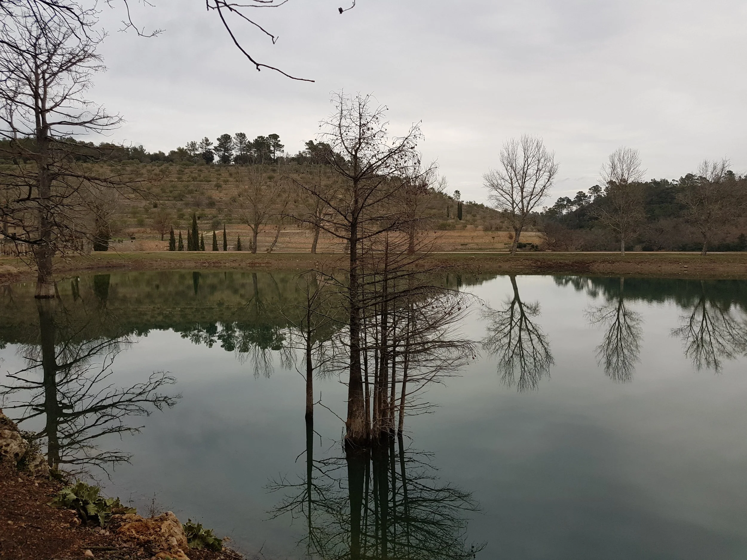 20180201_165835.jpg