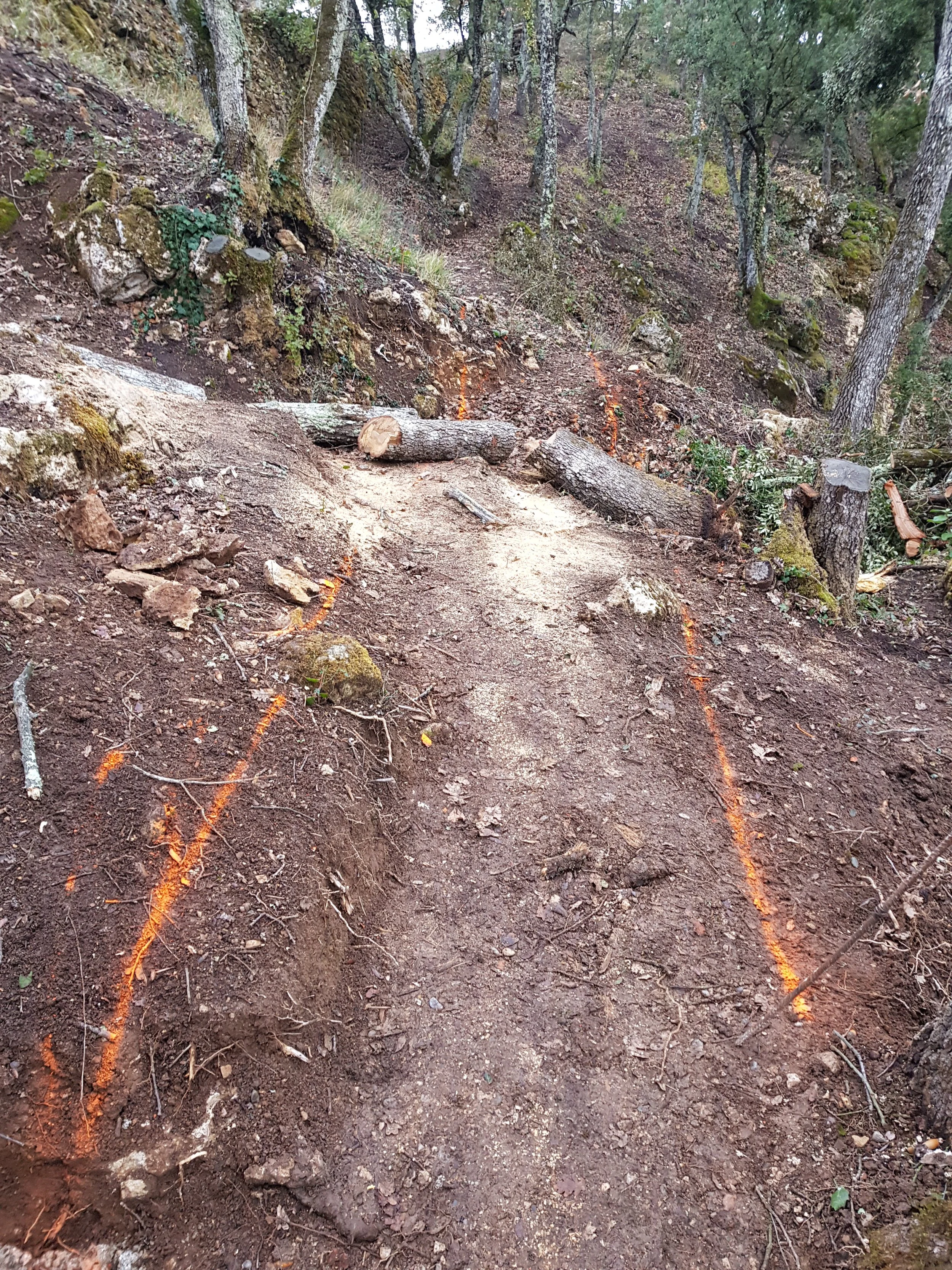20180201_165509.jpg