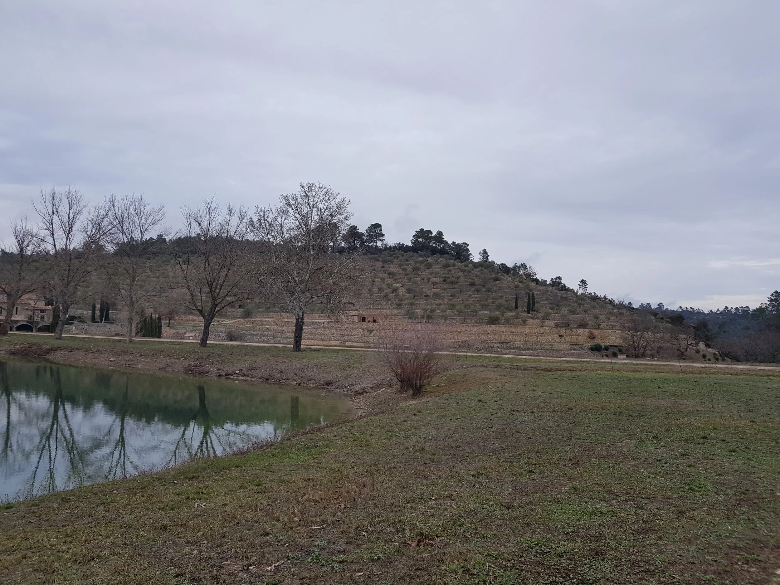 20180201_165049.jpg