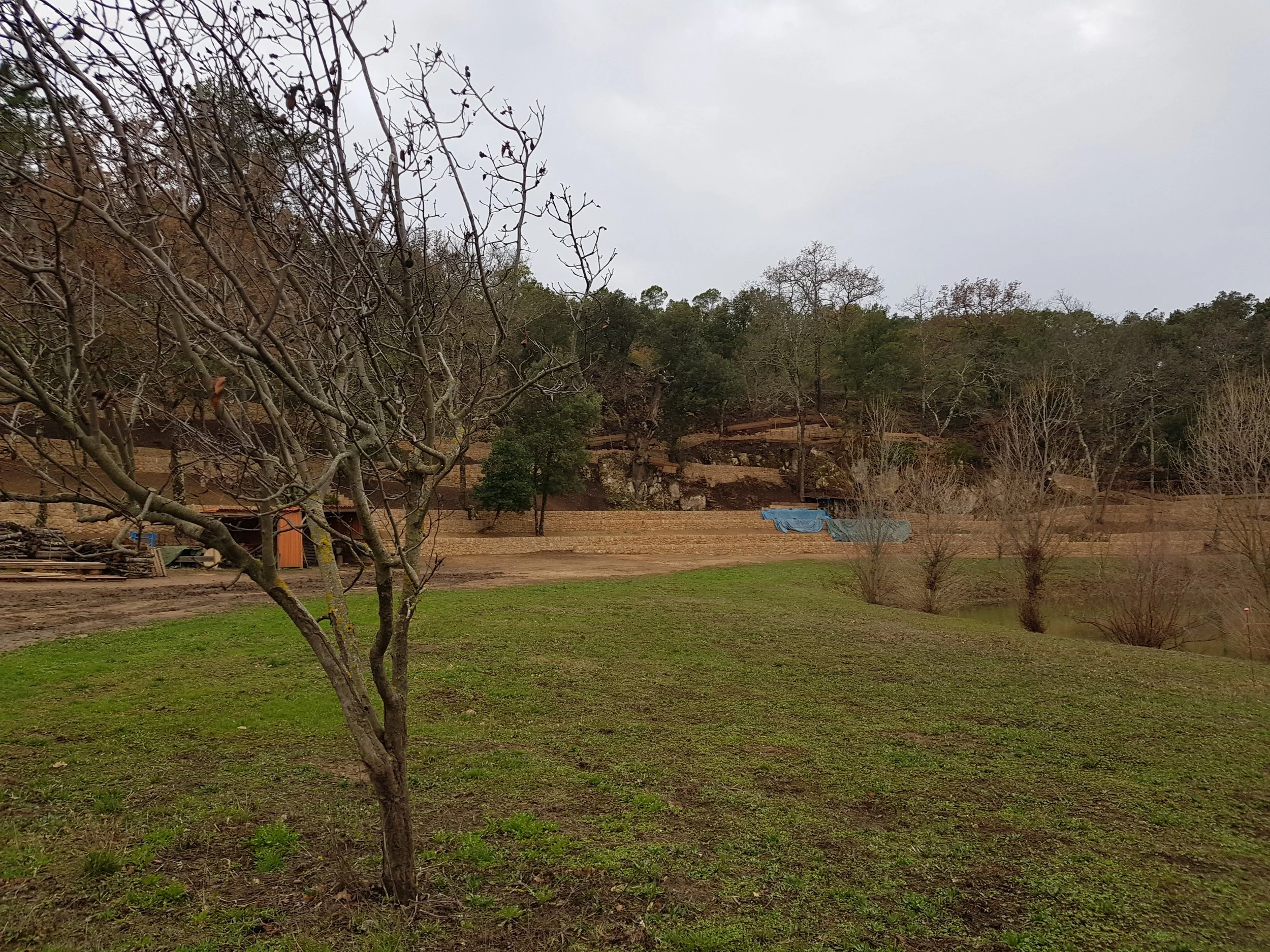 20180201_165030.jpg