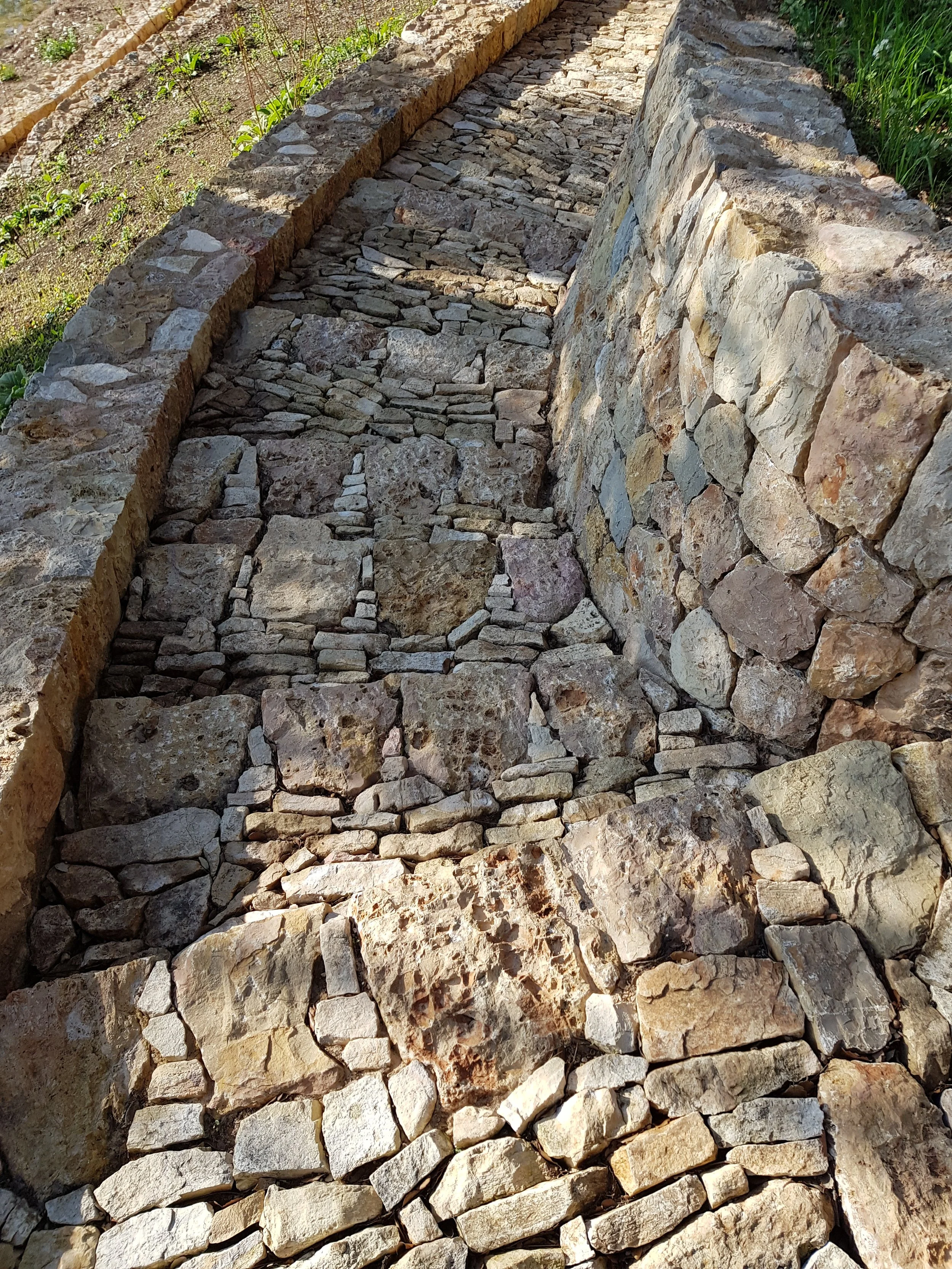 20180418_090333.jpg