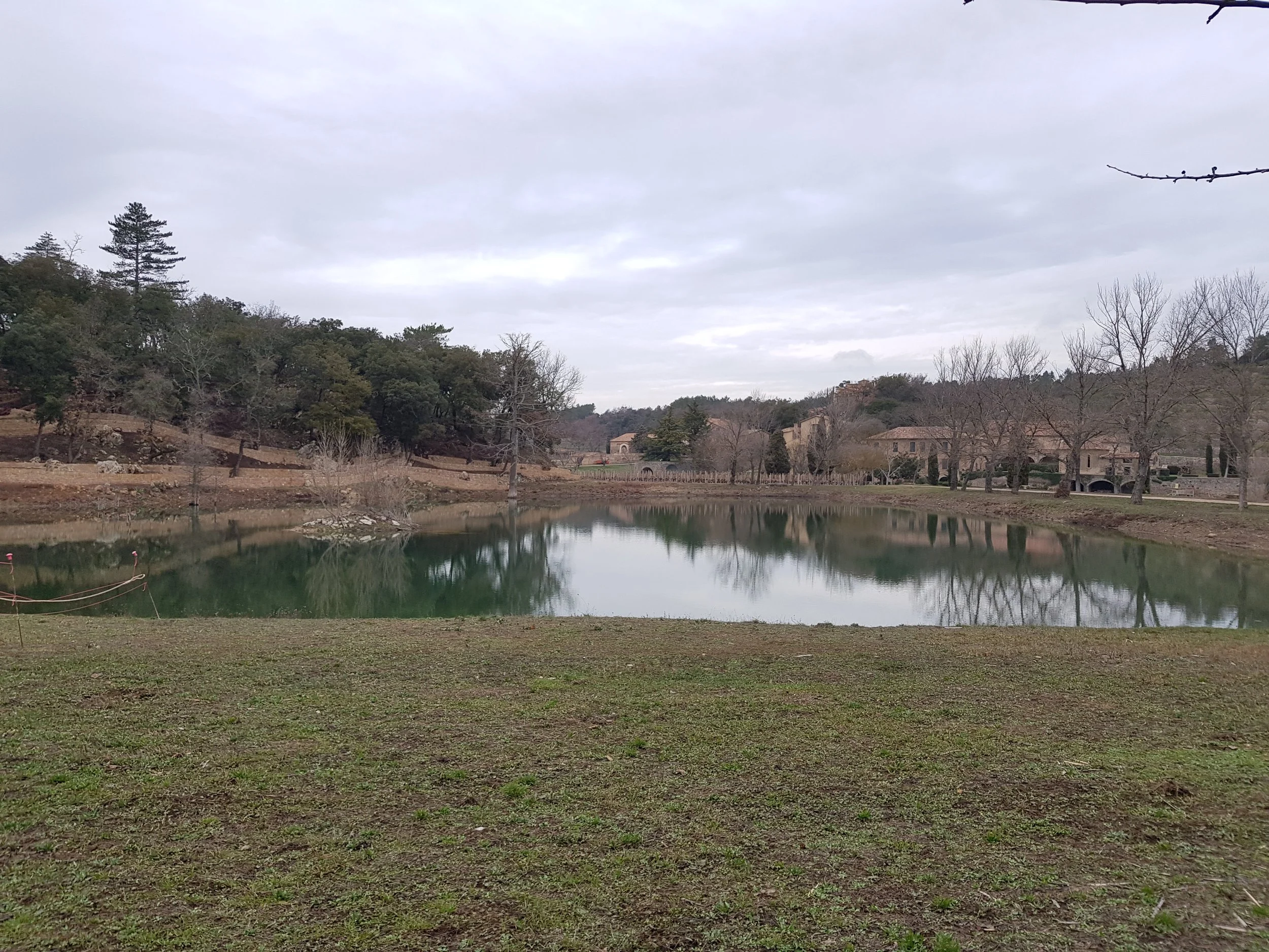 20180201_165024.jpg