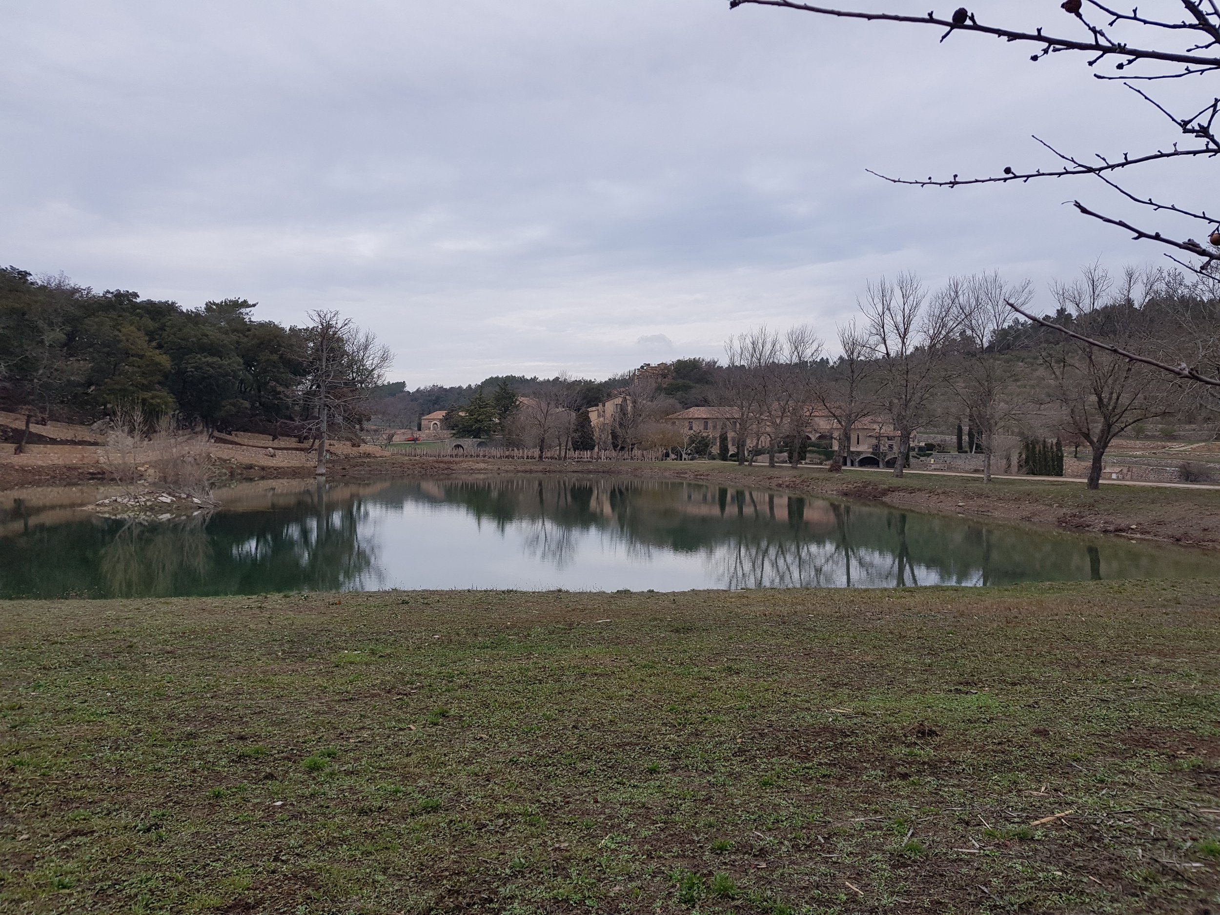 20180201_165025.jpg