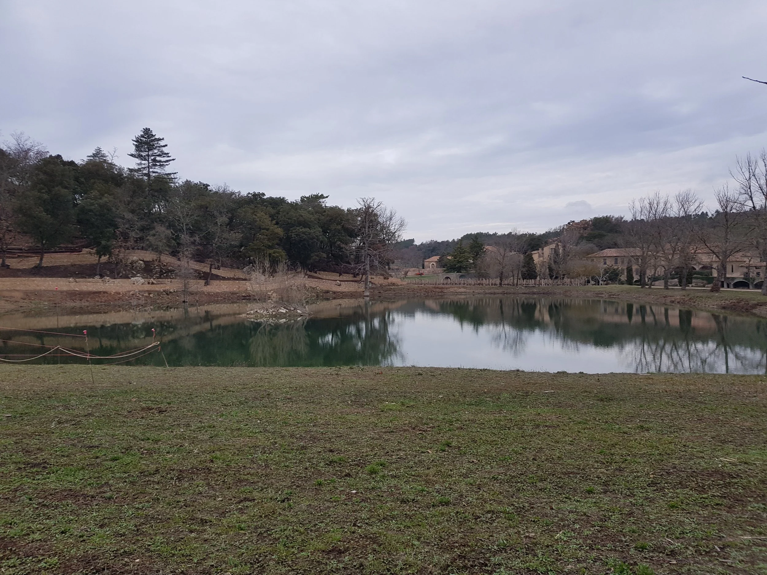 20180201_165026.jpg