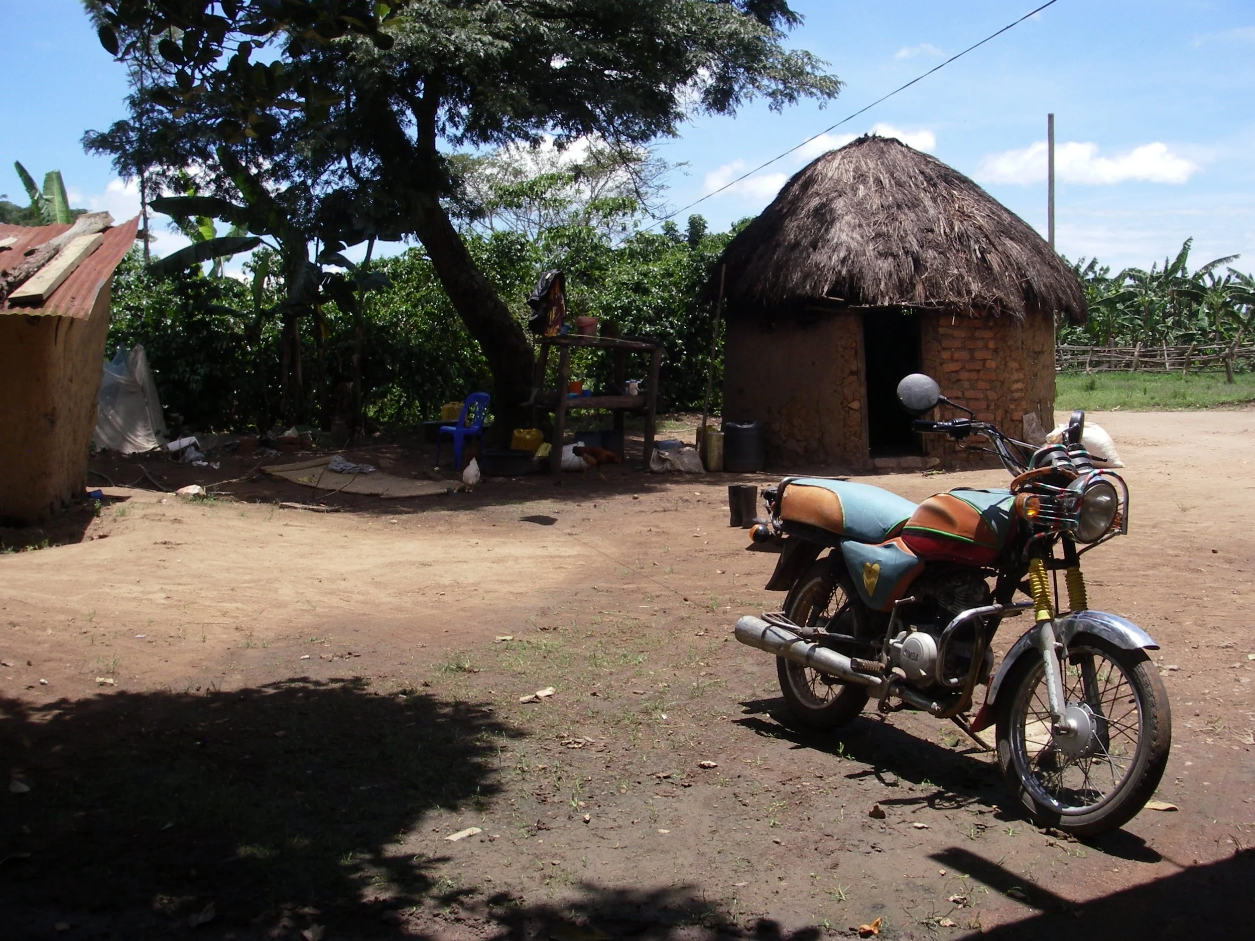 A rural scene with a thatched-roof round mud hut, a parked motorcycle in the foreground, a large tree with dense foliage, and a simple fence in the background under a partly cloudy sky.