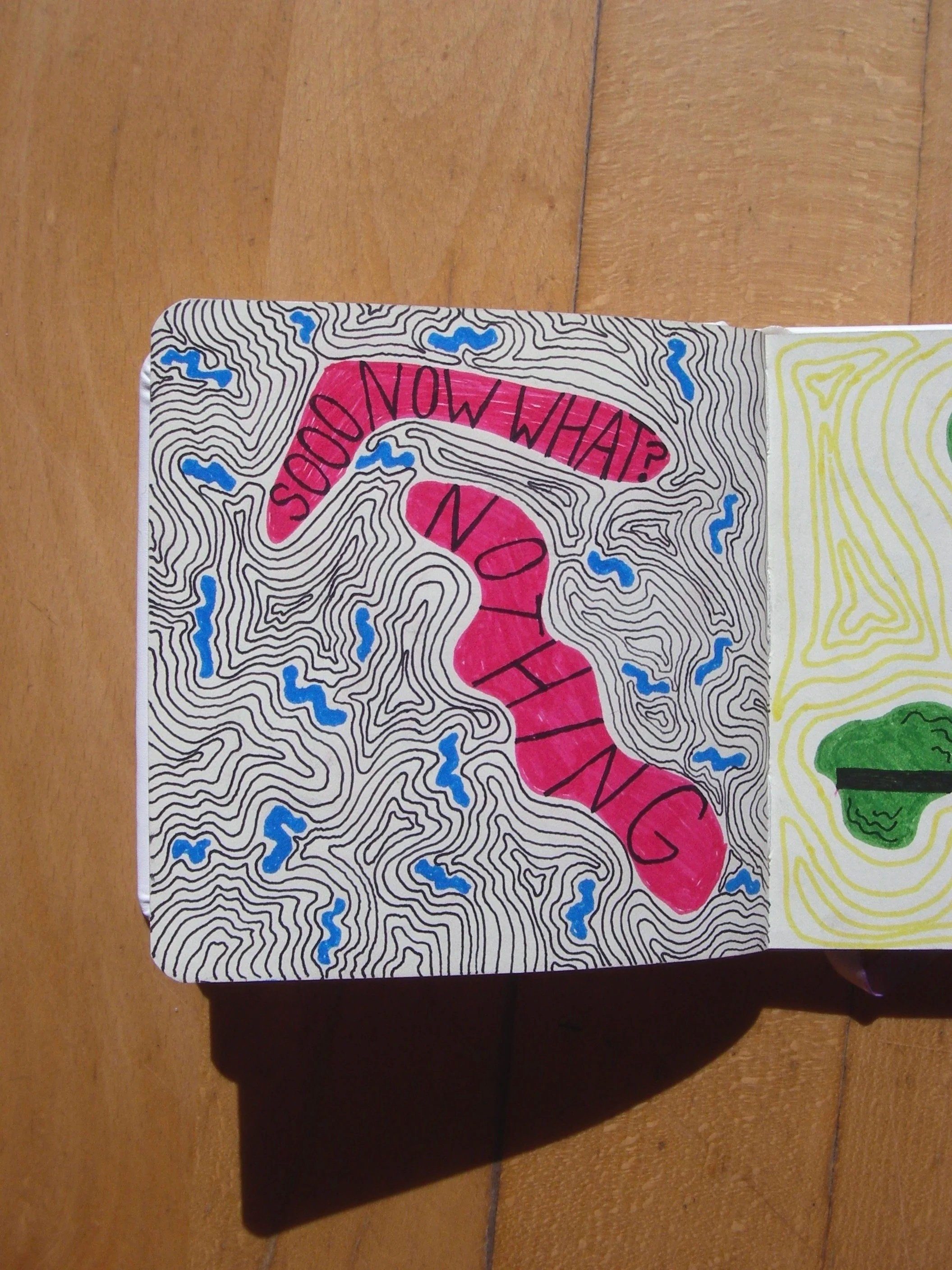 Colorful artwork with a topographic map design, featuring a pink path labeled 'SOO NOW WHAT? NO'. Blue water-like markings and a green shape are also present.
