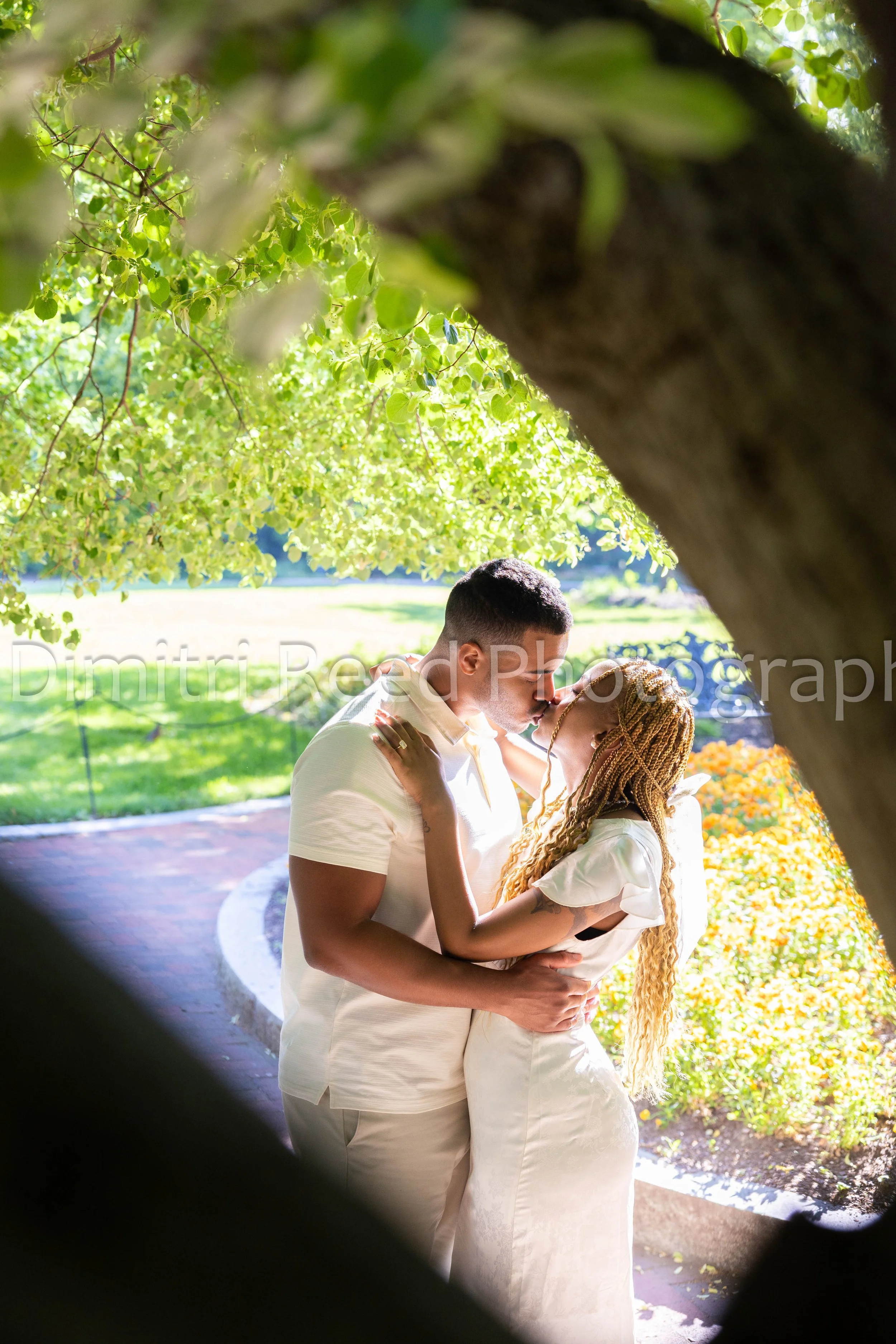 A couple sharing a tender moment outdoors under a tree filled with green leaves, with the woman dressed in white and the man in a light-colored shirt. They are gently touching foreheads, embracing, and smiling.