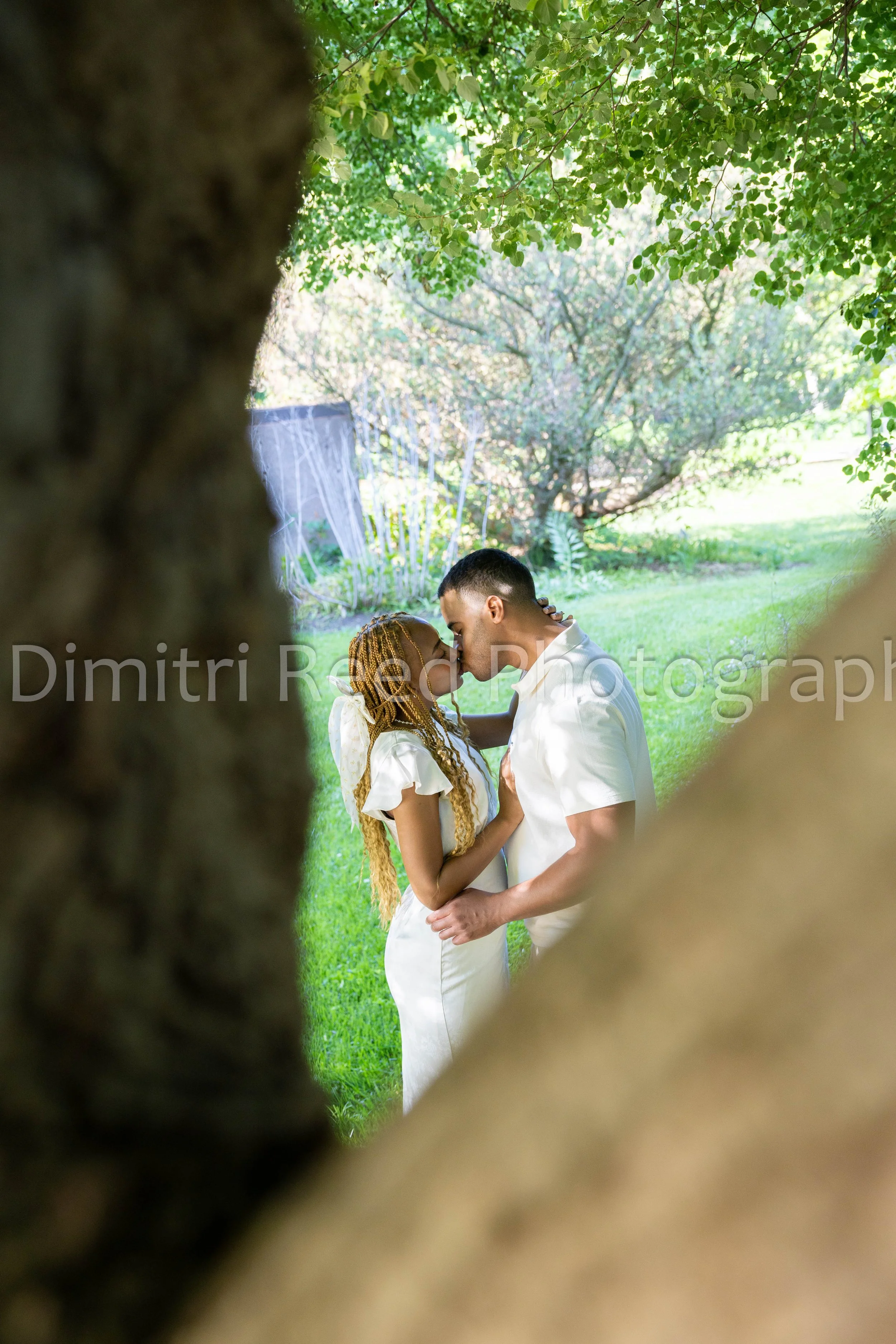 A couple stands close together, embracing in a lush green outdoor setting, visible through a small gap between the tree trunk and leaves in the foreground.