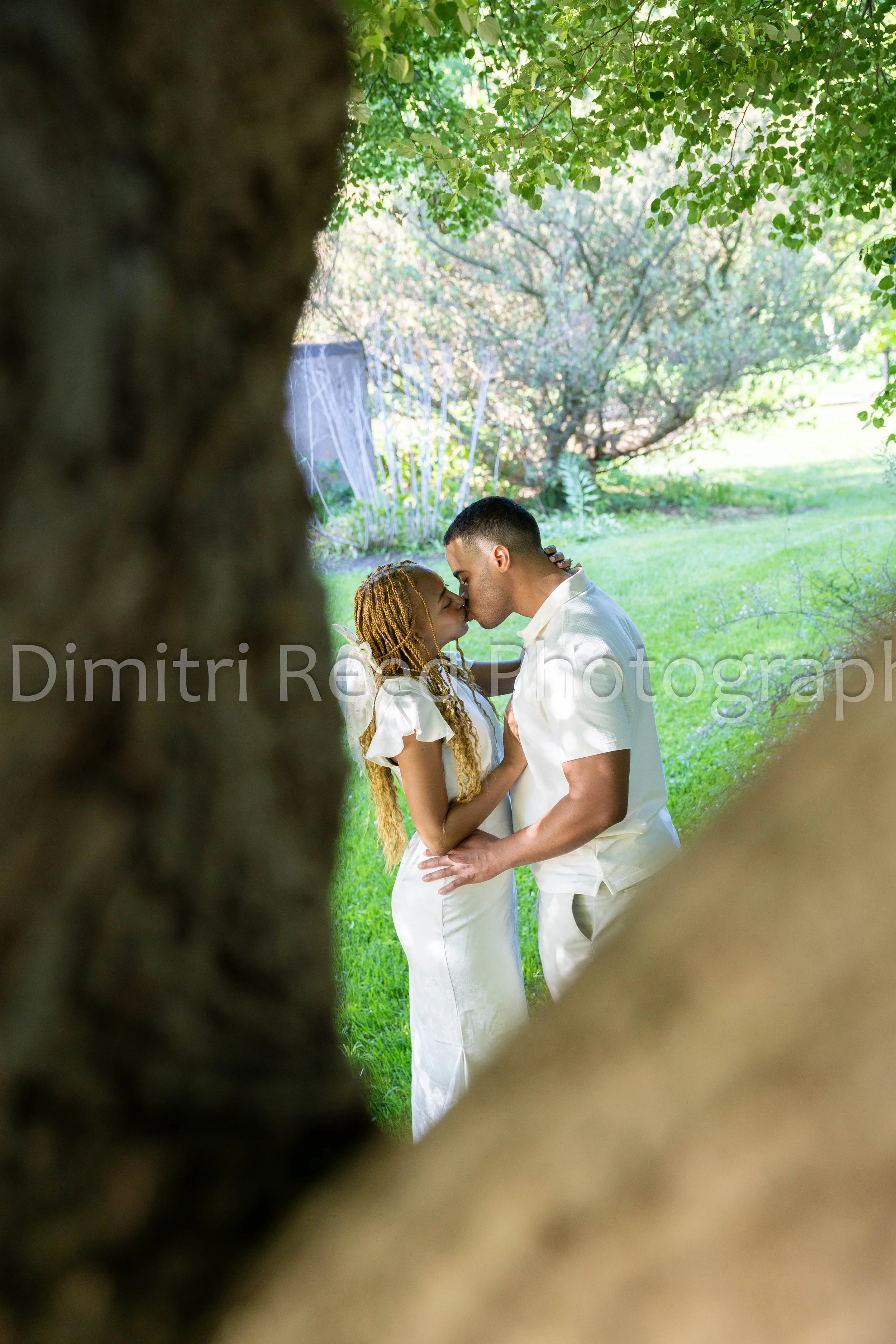 A couple standing close and kissing outdoors in a park or garden, viewed through a gap between two trees.
