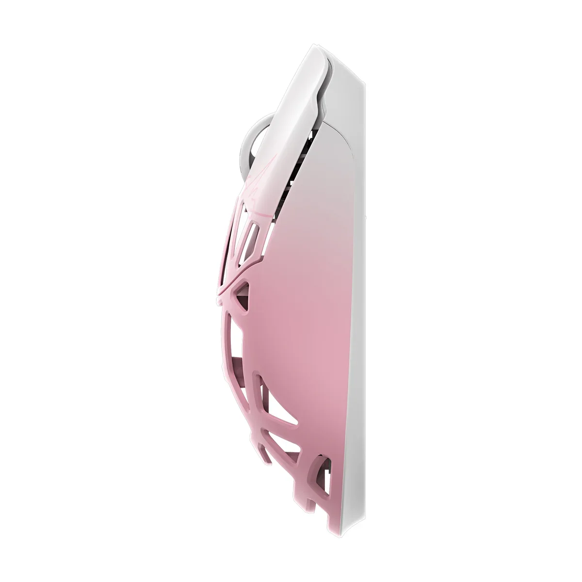 BXV2_PW_6.webp