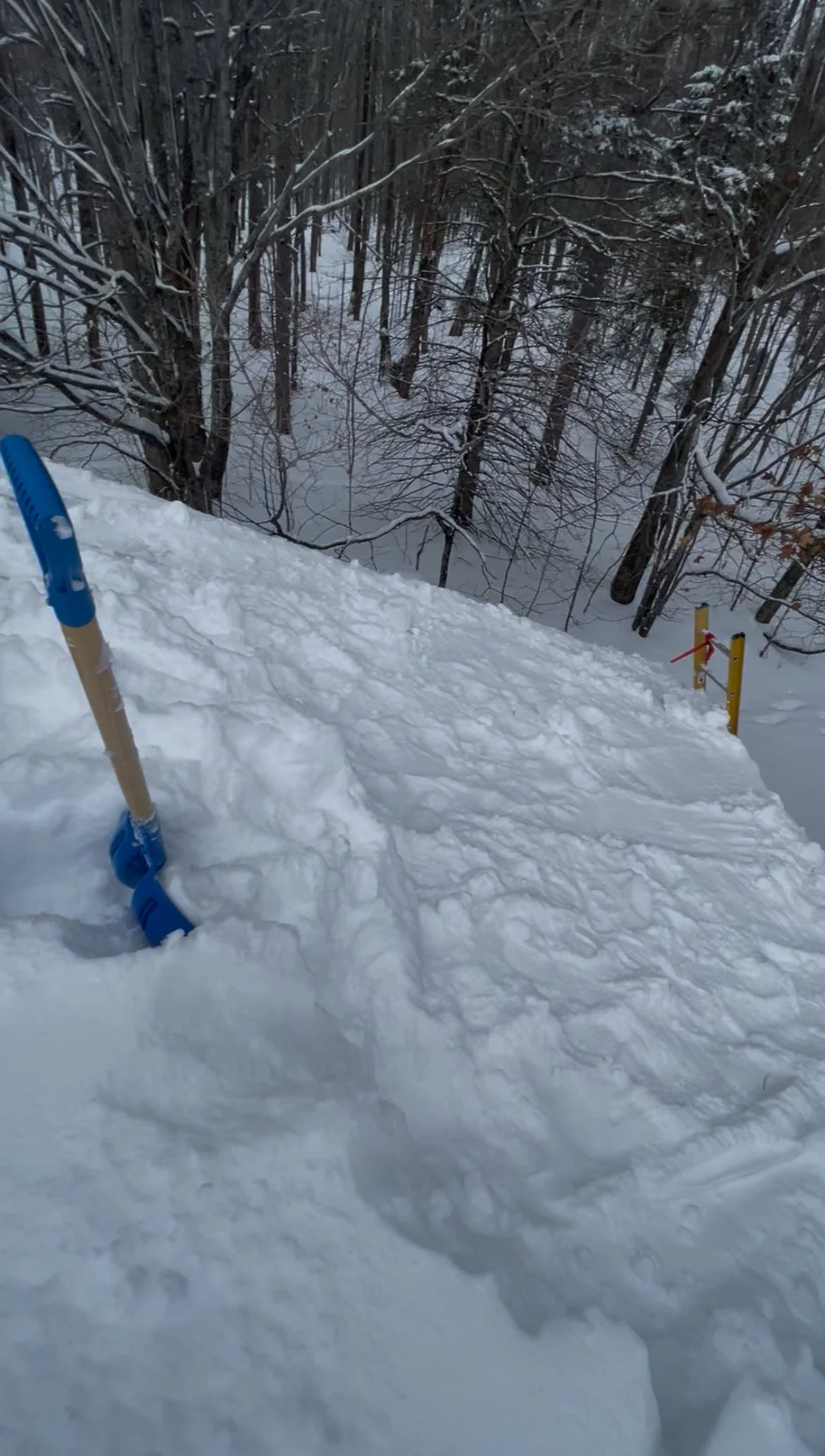Roof Shoveling & Snow removal