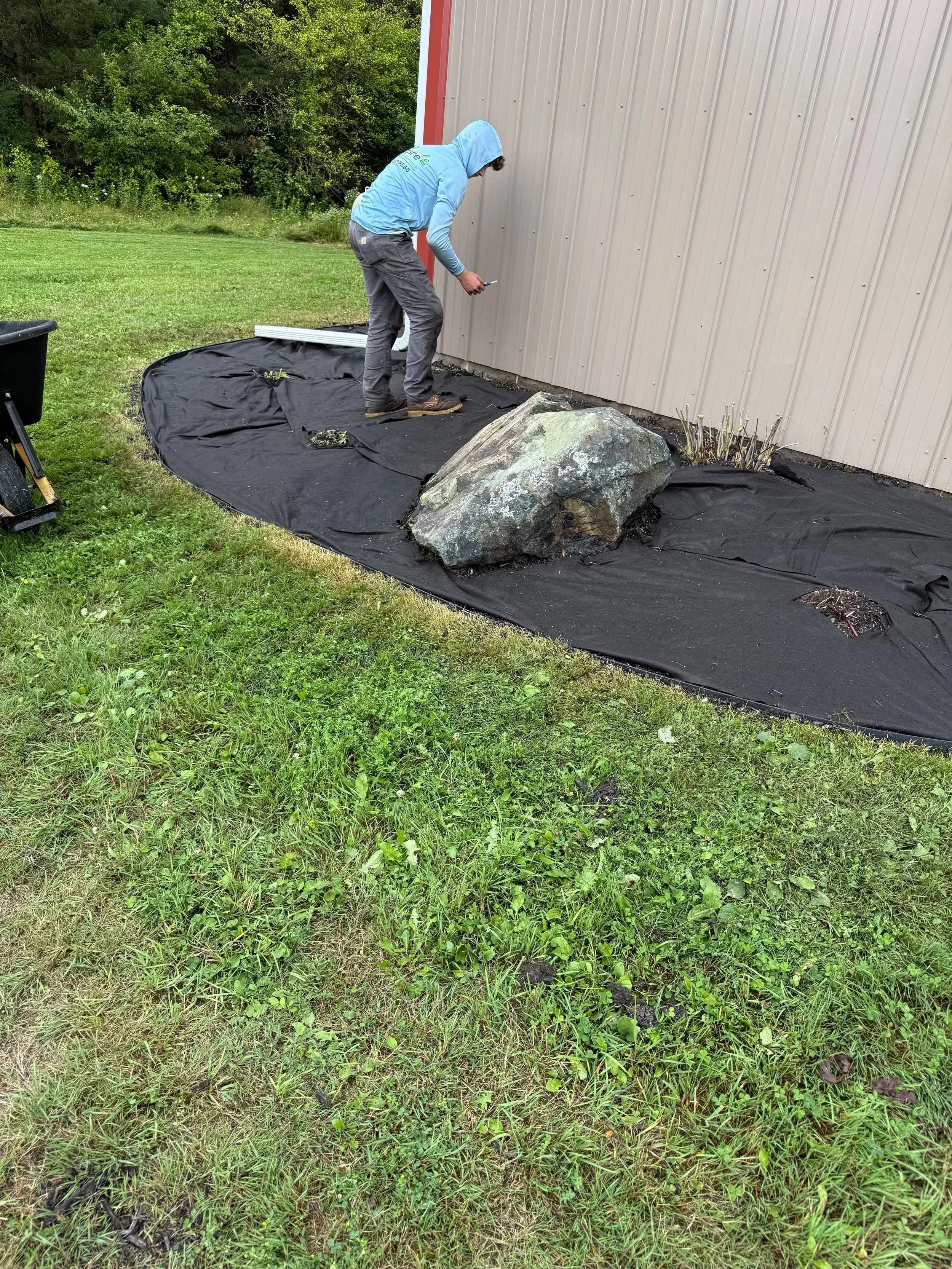 Landscaper installing black landscape fabric around a large rock beside a metal building.
