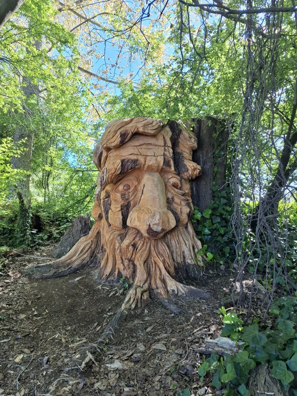 One of the works on the Geraldine Scultpure trail. Gerry, the Old Man of Raukapuka, carved from a standing tree stump.