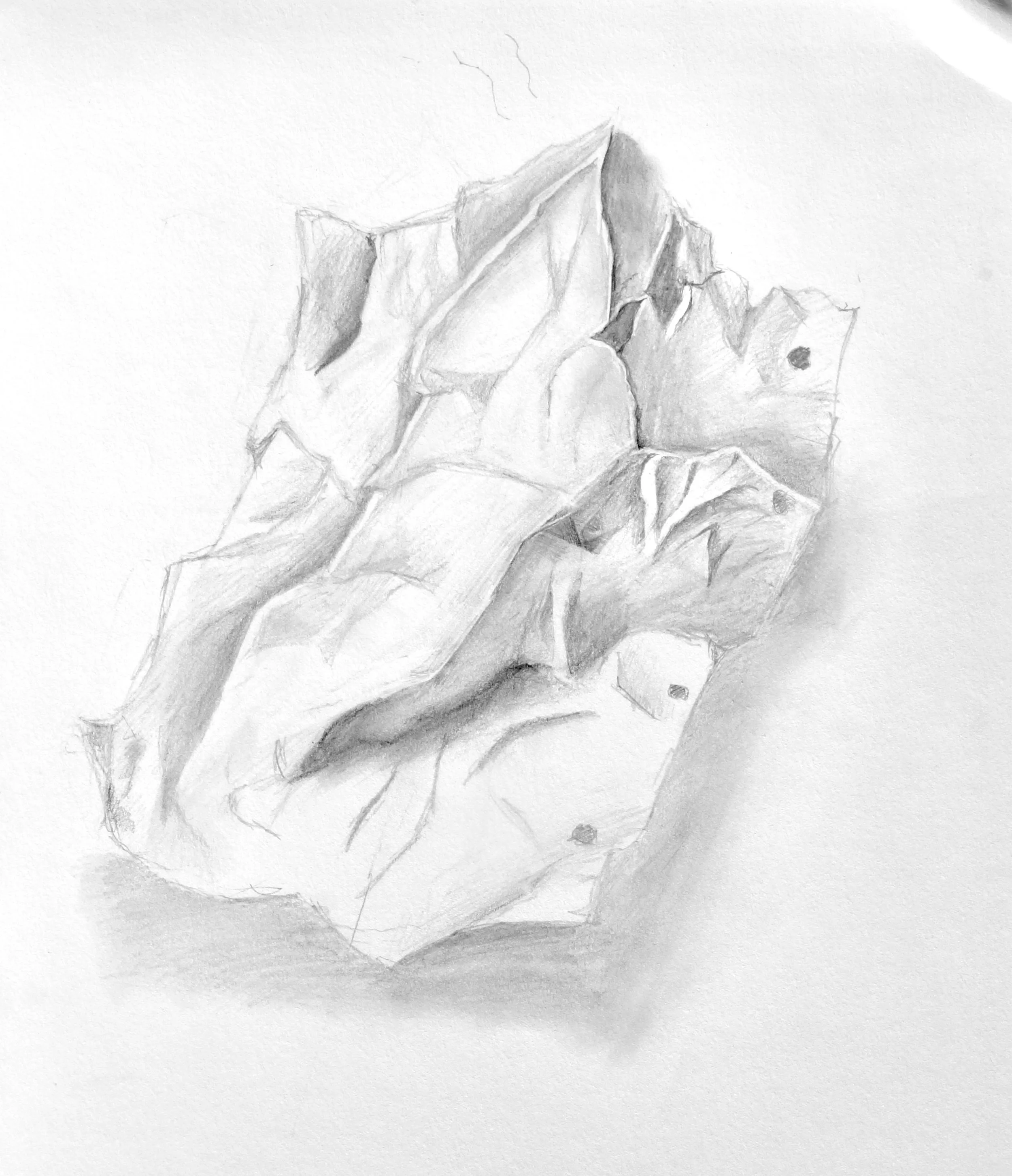 DSC06836.jpeg