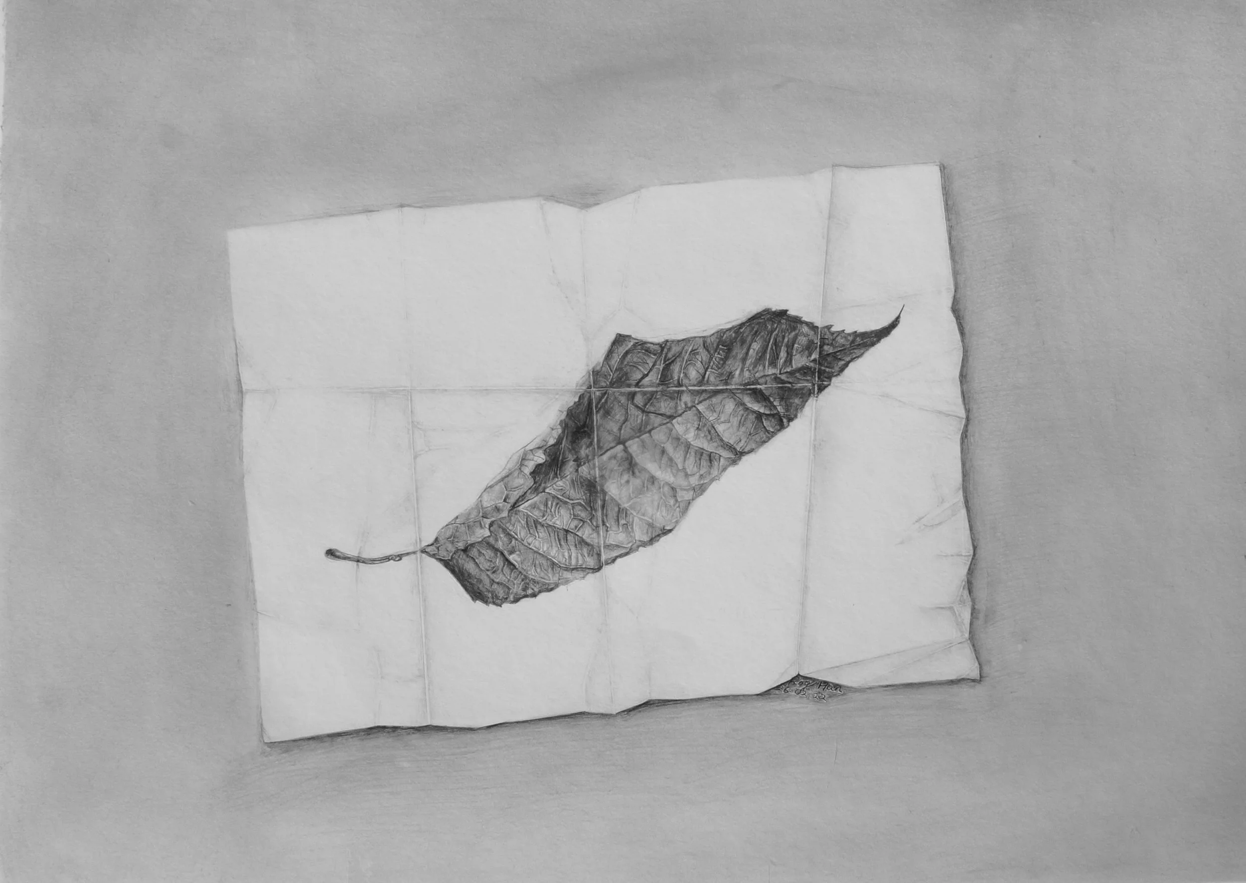 Graphite on paper
