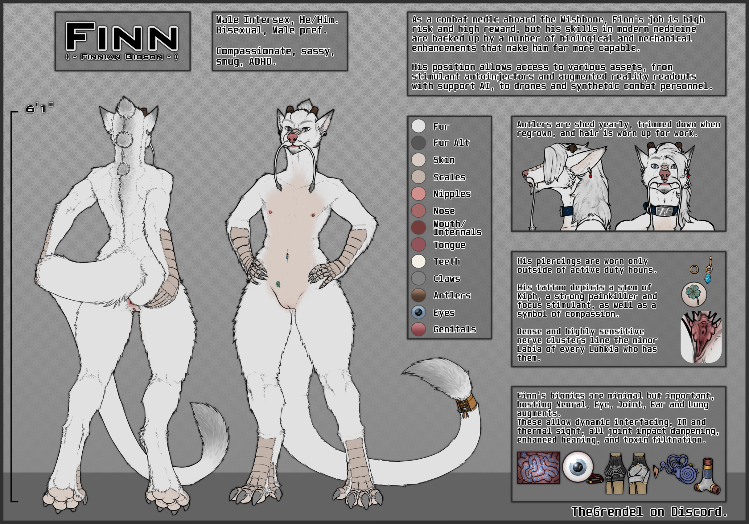 Finn Ref.png
