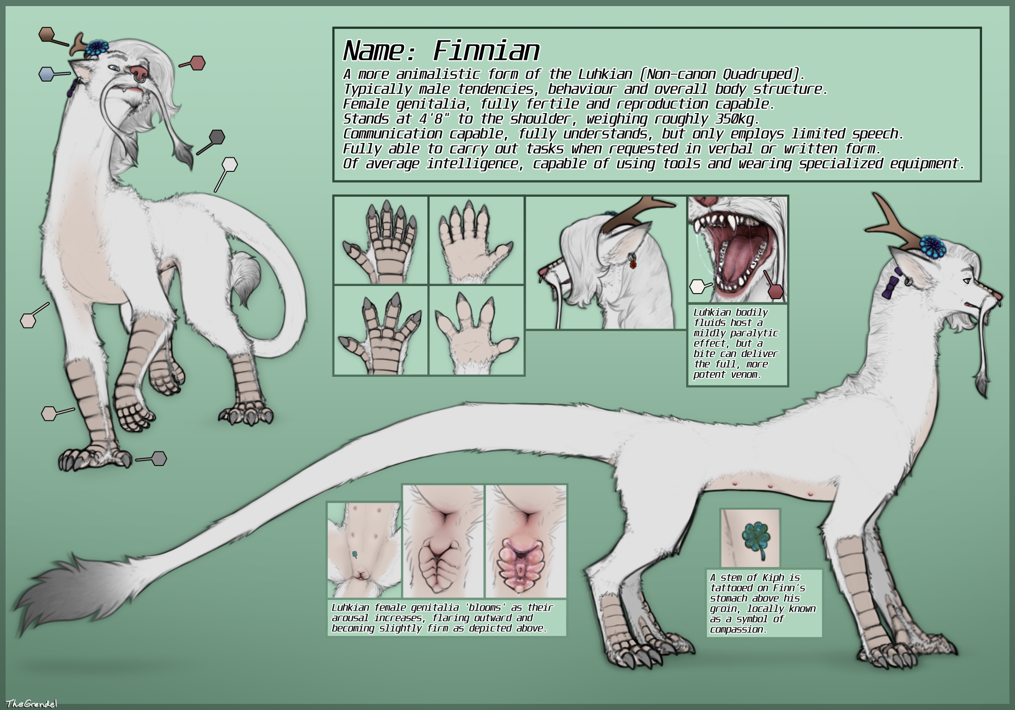 Feral Ref.png