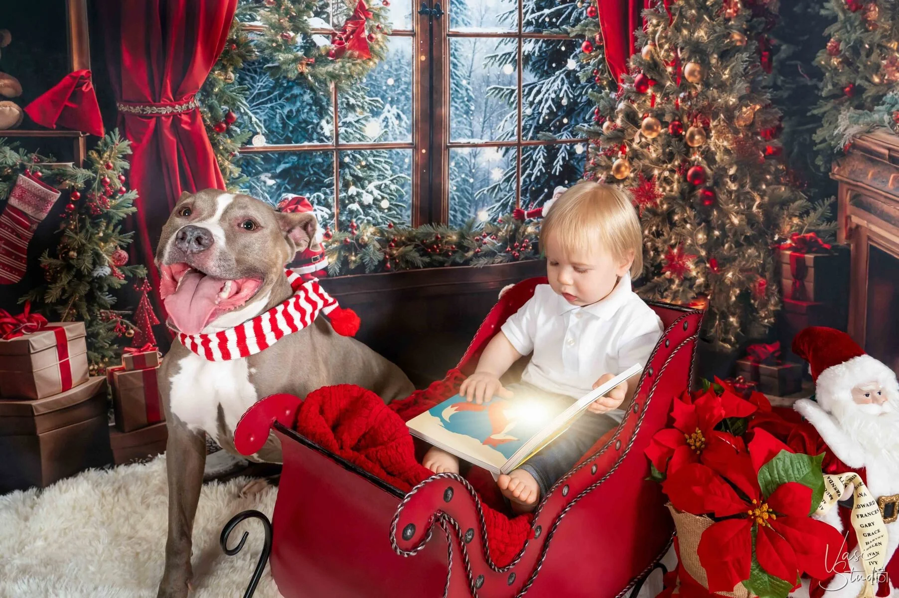 Toddler reading a book with a dog in a red sleigh in a Christmas studio set, holiday child and pet portrait