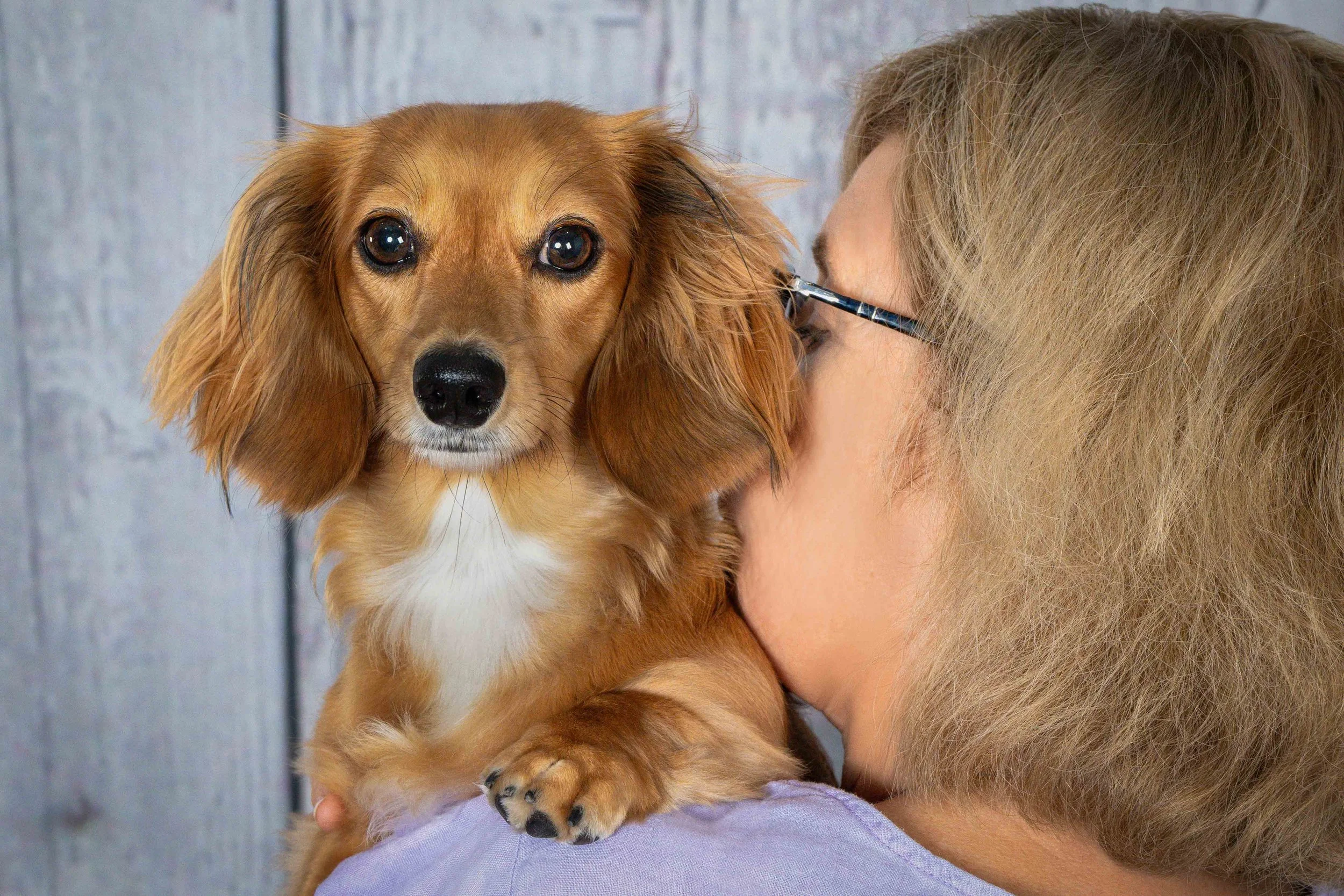 Dachshund mix kissing its owner in front of a rustic blue door, people and pets portrait