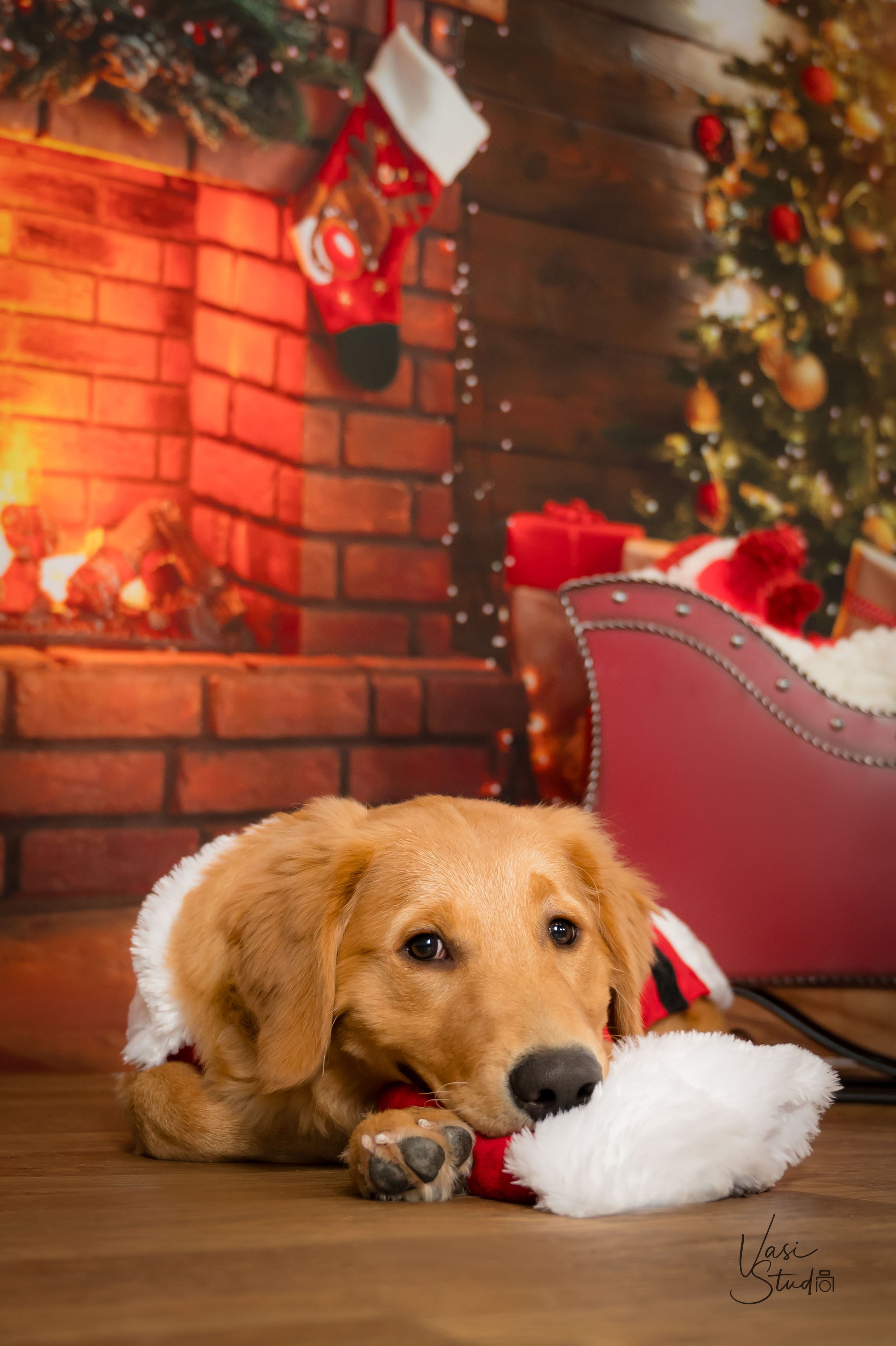 Golden retriever puppy in a Santa outfit by a Christmas fireplace and sleigh, holiday pet portrait at Vasi Studio Palm Beach Gardens