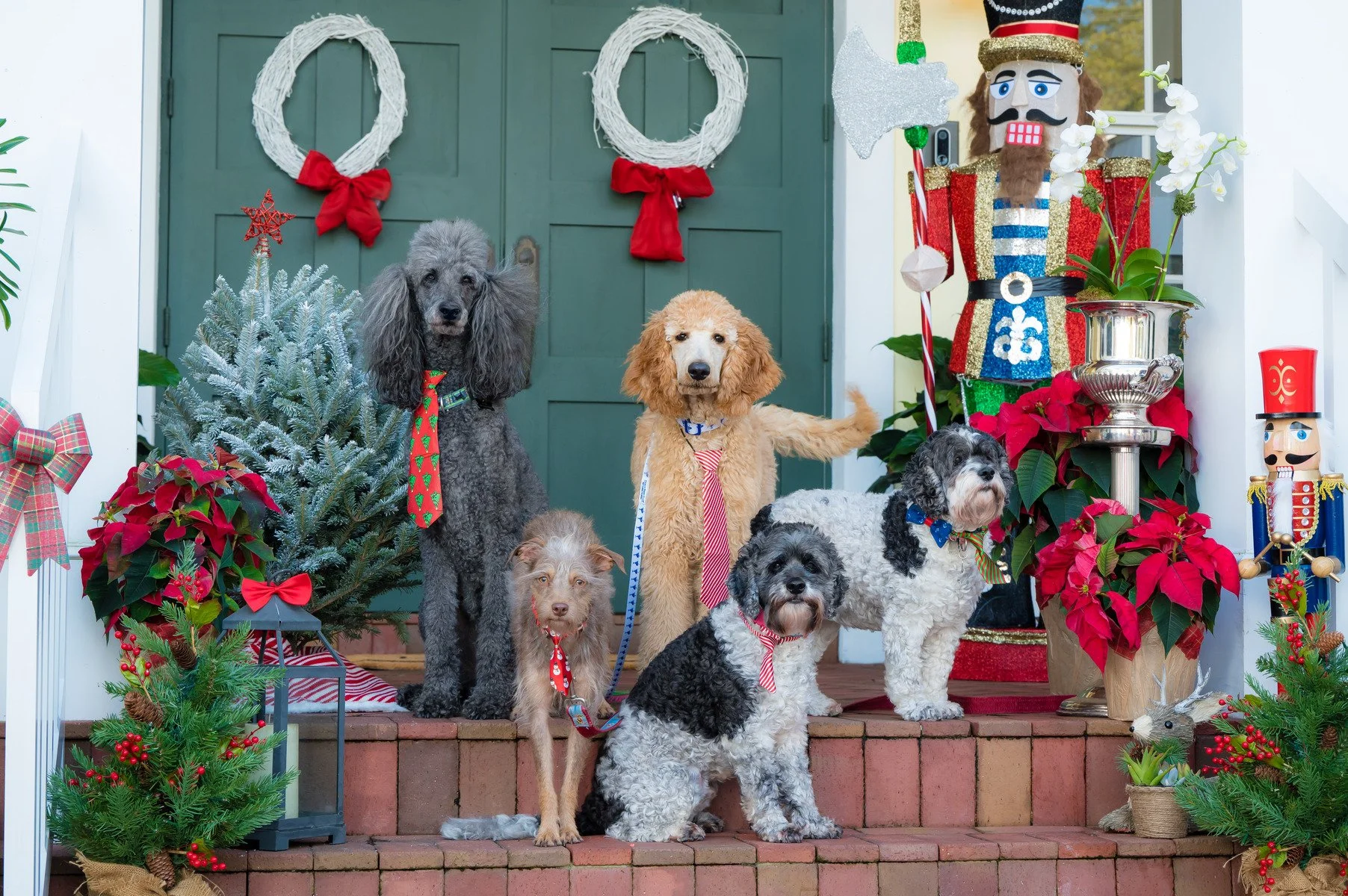 Group of dogs on a festive Christmas porch with wreaths and nutcrackers, holiday pet photography Palm Beach Gardens