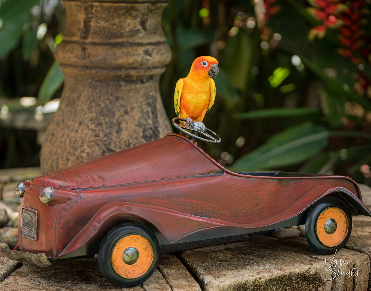 Colorful parrot perched on a vintage red toy car among tropical flowers, fine-art bird portrait by Vasi Studio in Palm Beach Gardens
