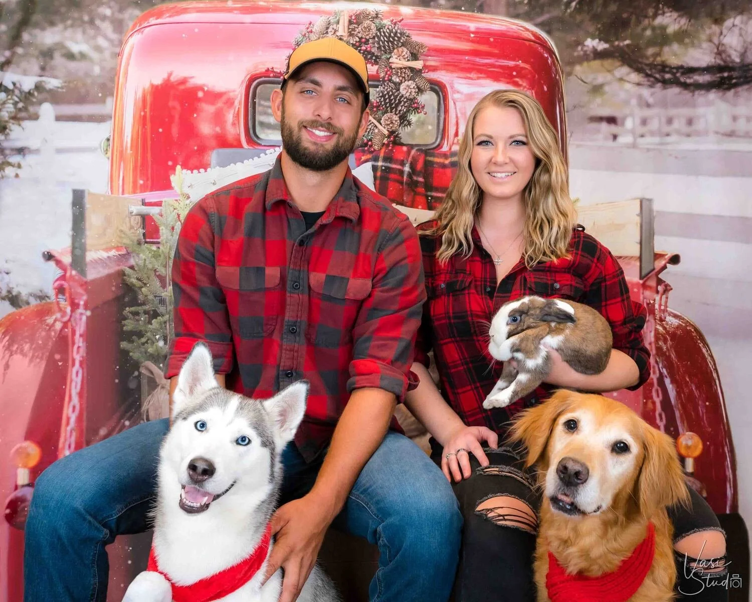 Couple in plaid with a husky, a cat and a golden retriever in a vintage red Christmas truck, holiday family pet portrait