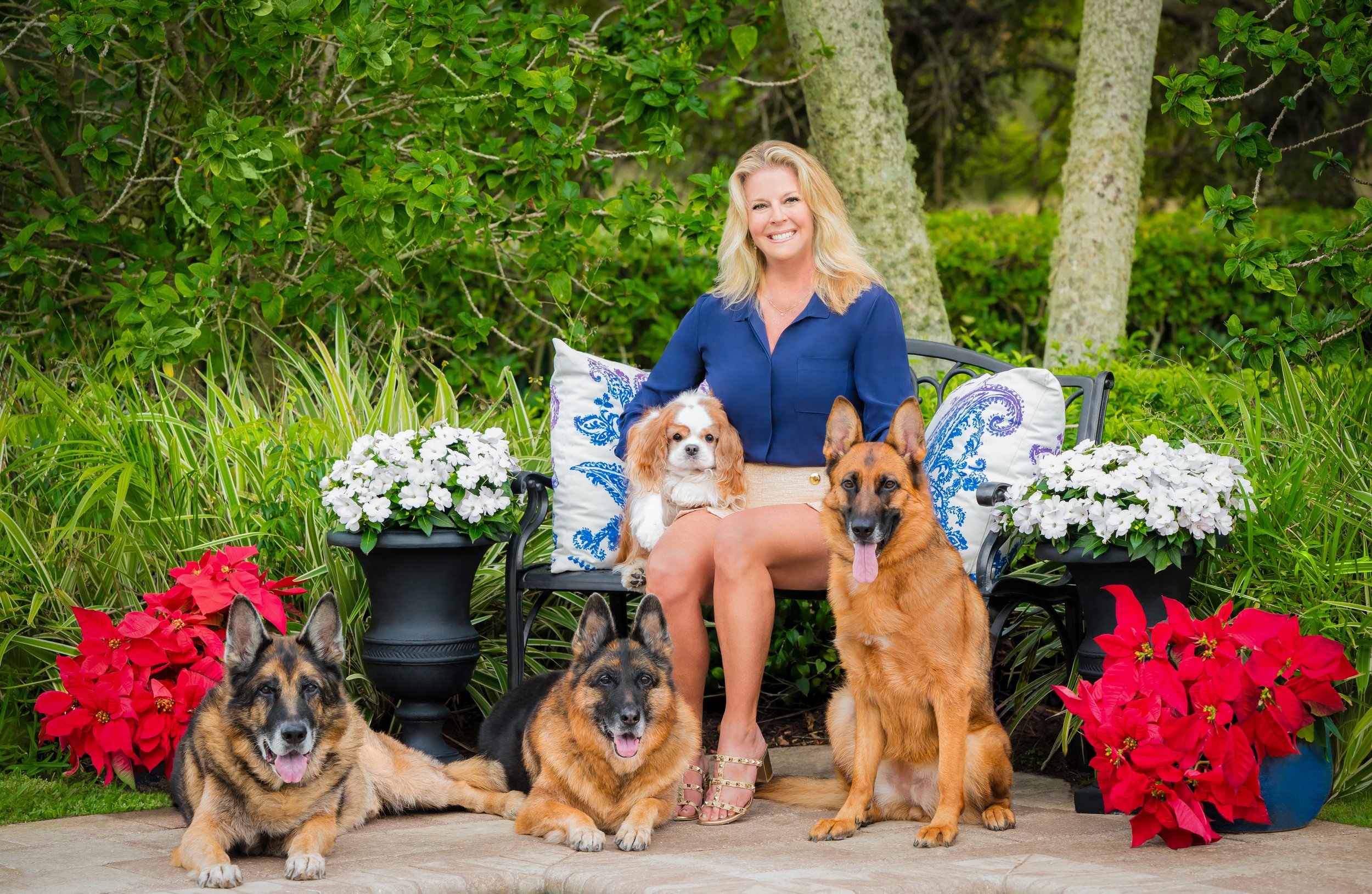 Woman with three German Shepherds and a Cavalier King Charles spaniel among red poinsettias, outdoor holiday portrait with pets by Vasi Studio
