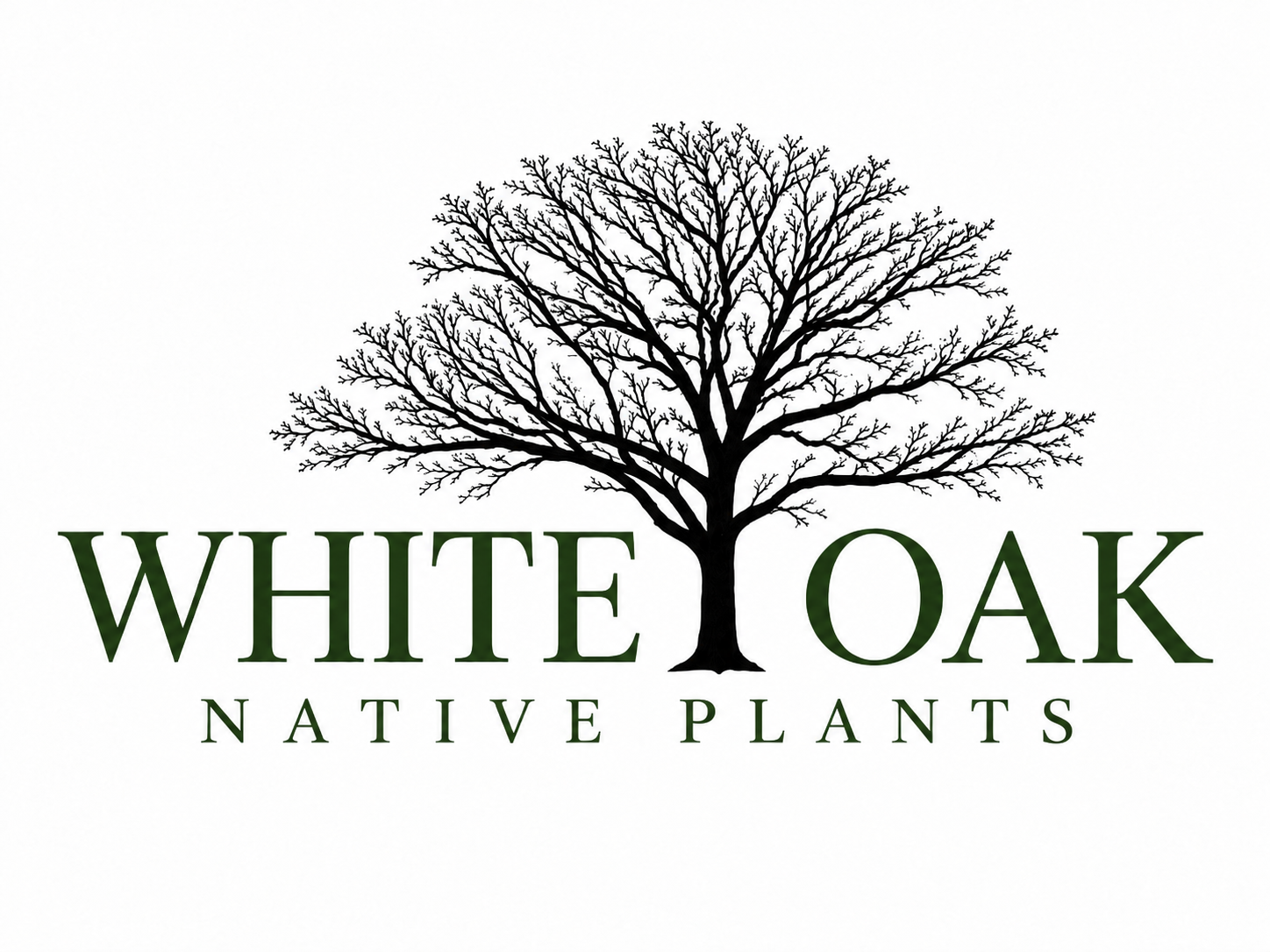 White Oak Native Plants logo