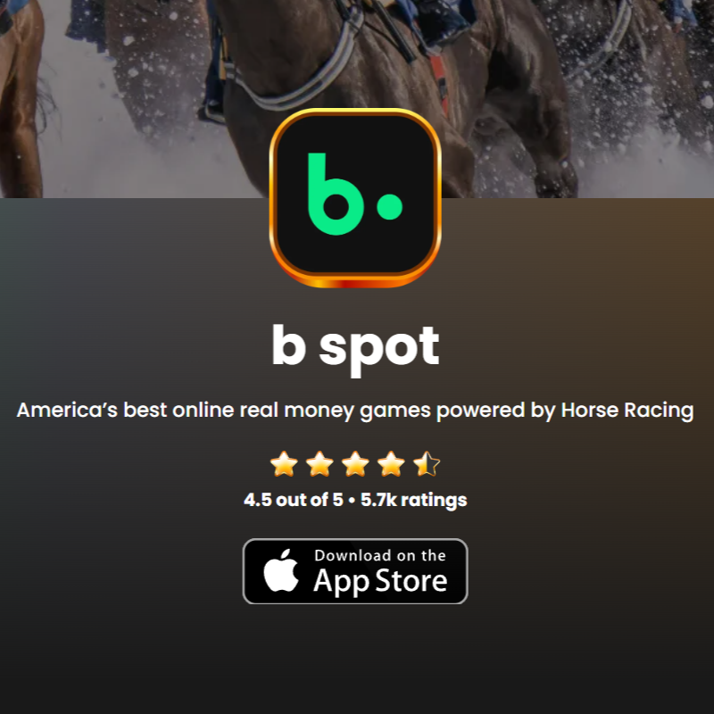 b spot Real Money Gaming 
2013 to 2024 · VP Games, then SVP Games & Marketing, Game Play Network 
The horse-racing powered, real-money gaming app and website, part of a portfolio of GPN properties.