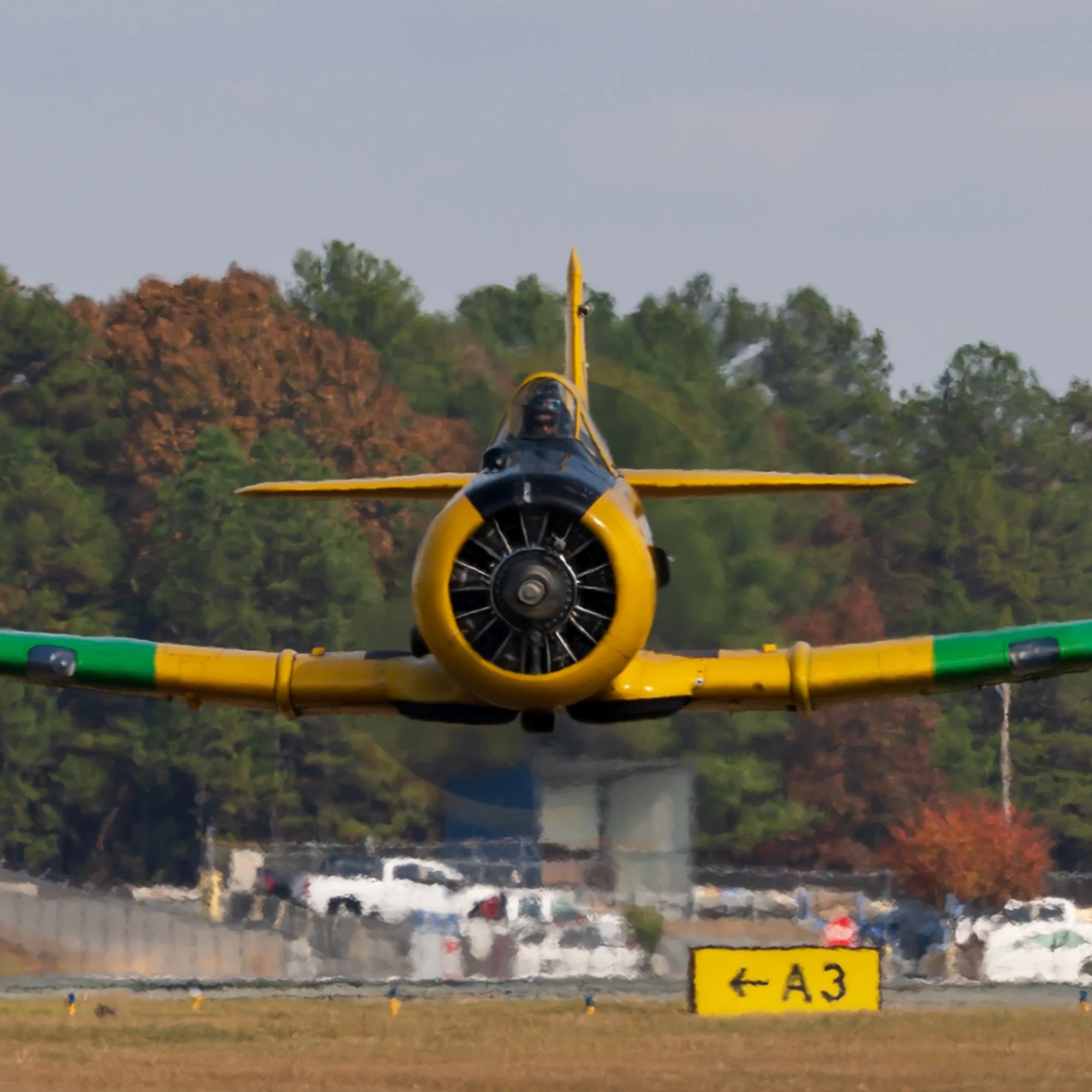 Warbirds Monroe T-6 head shot.jpg