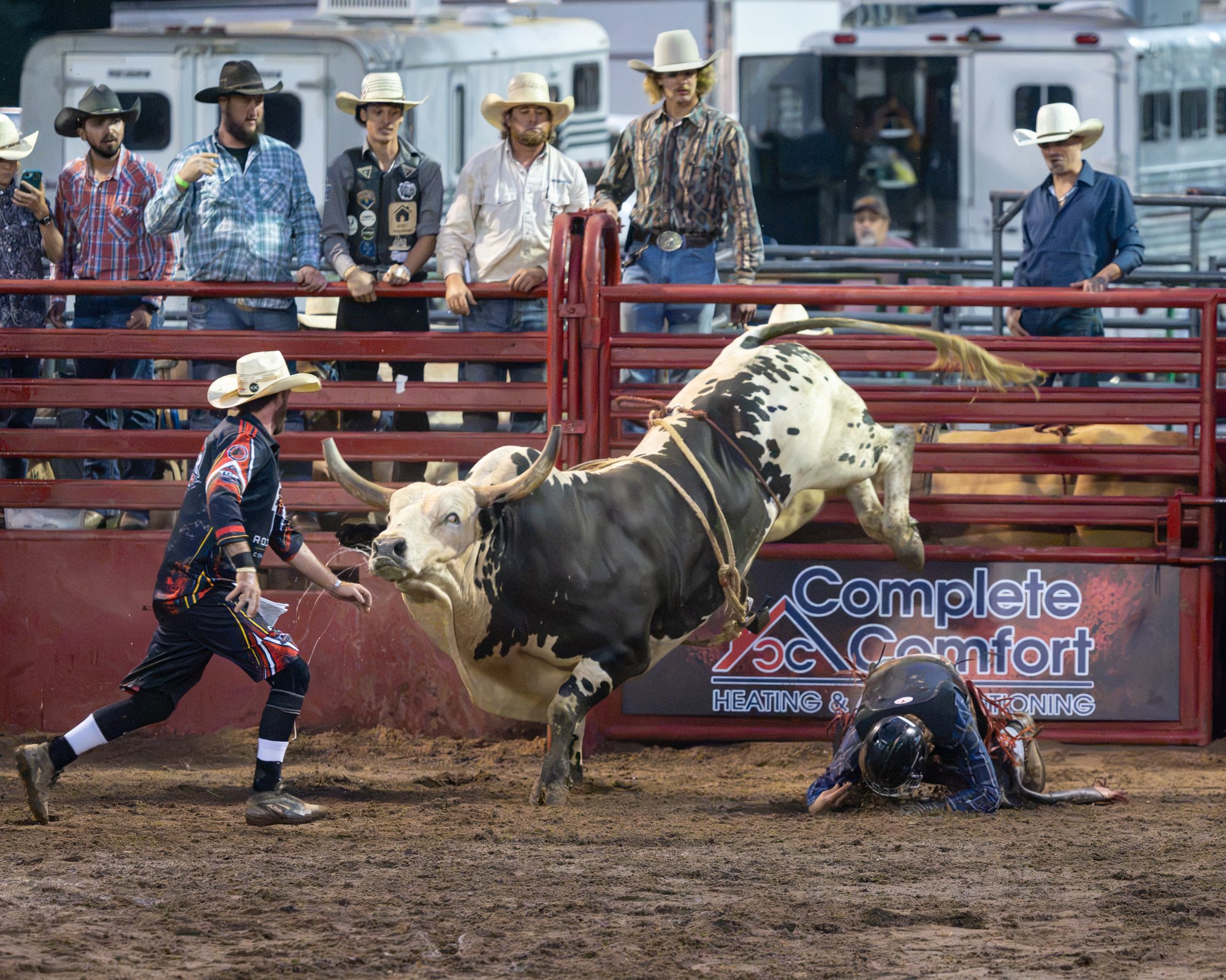TGR Rodeo bull.jpg
