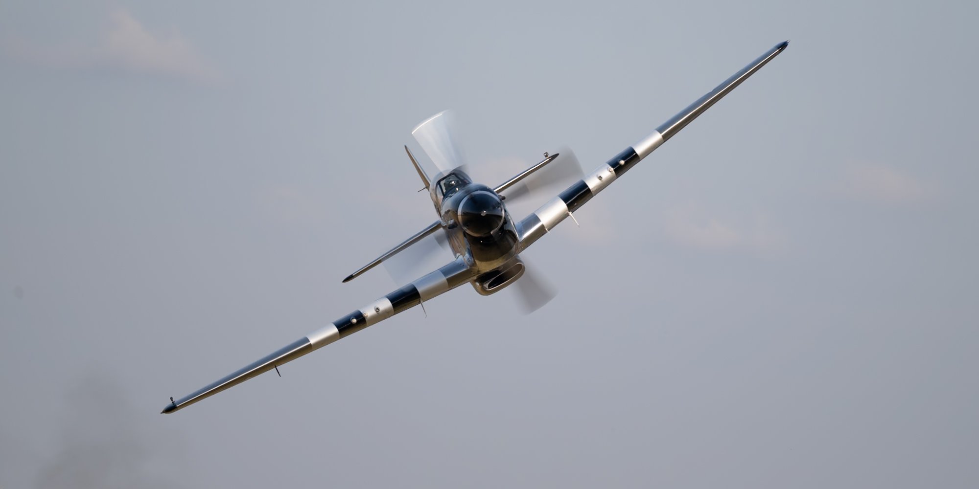 Warbirds Monroe p-51 head shot.jpg