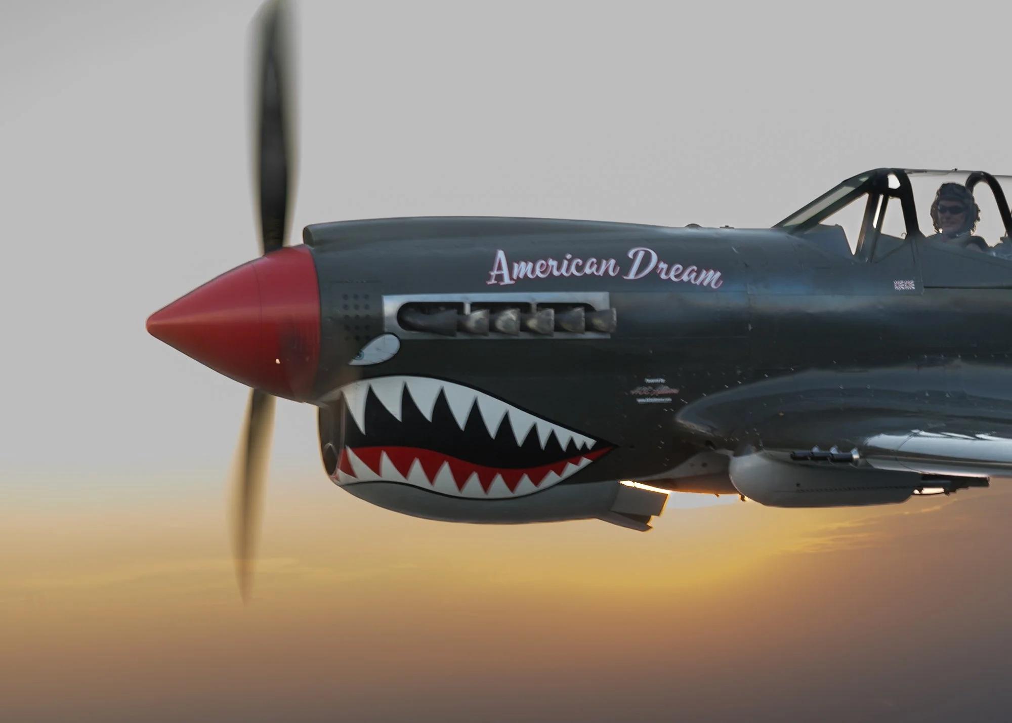 P-40 warhawk American Dream.jpg