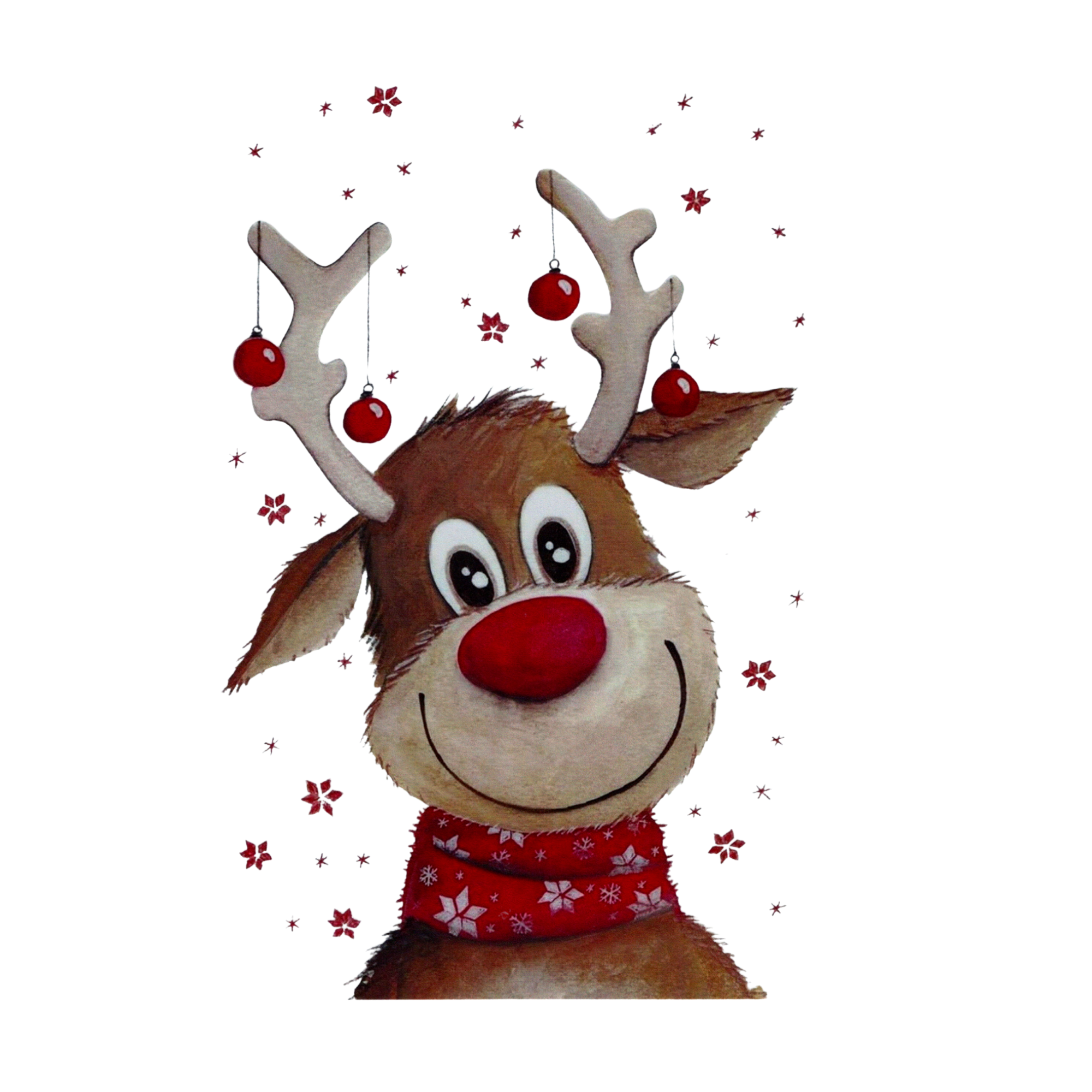 Reindeer
