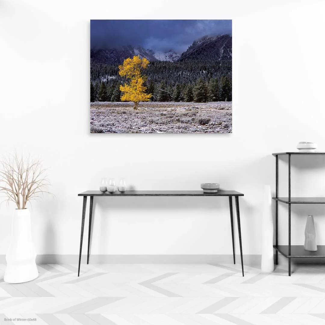 BrinkofWinter60x48.jpg