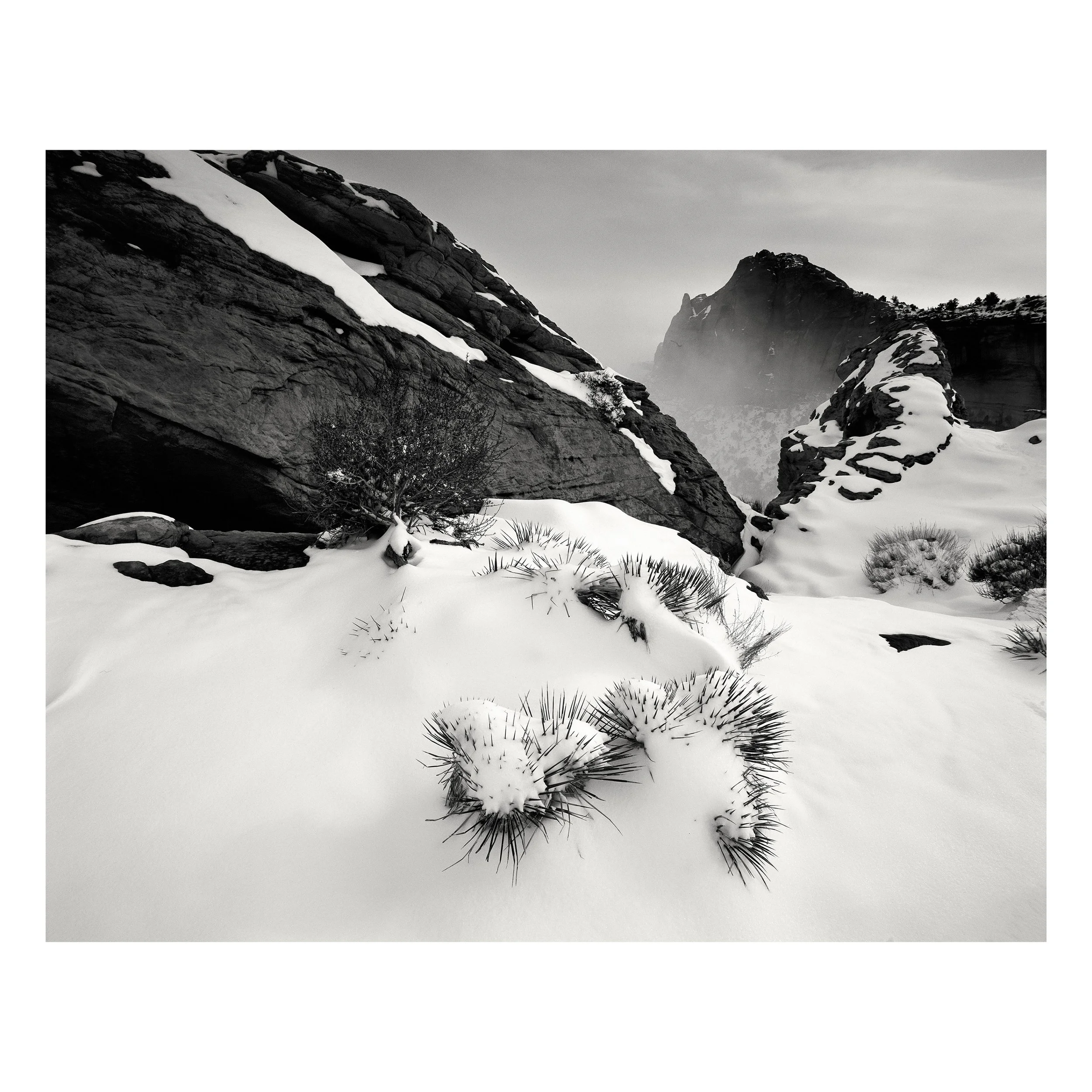 Solitude 3k.jpg
