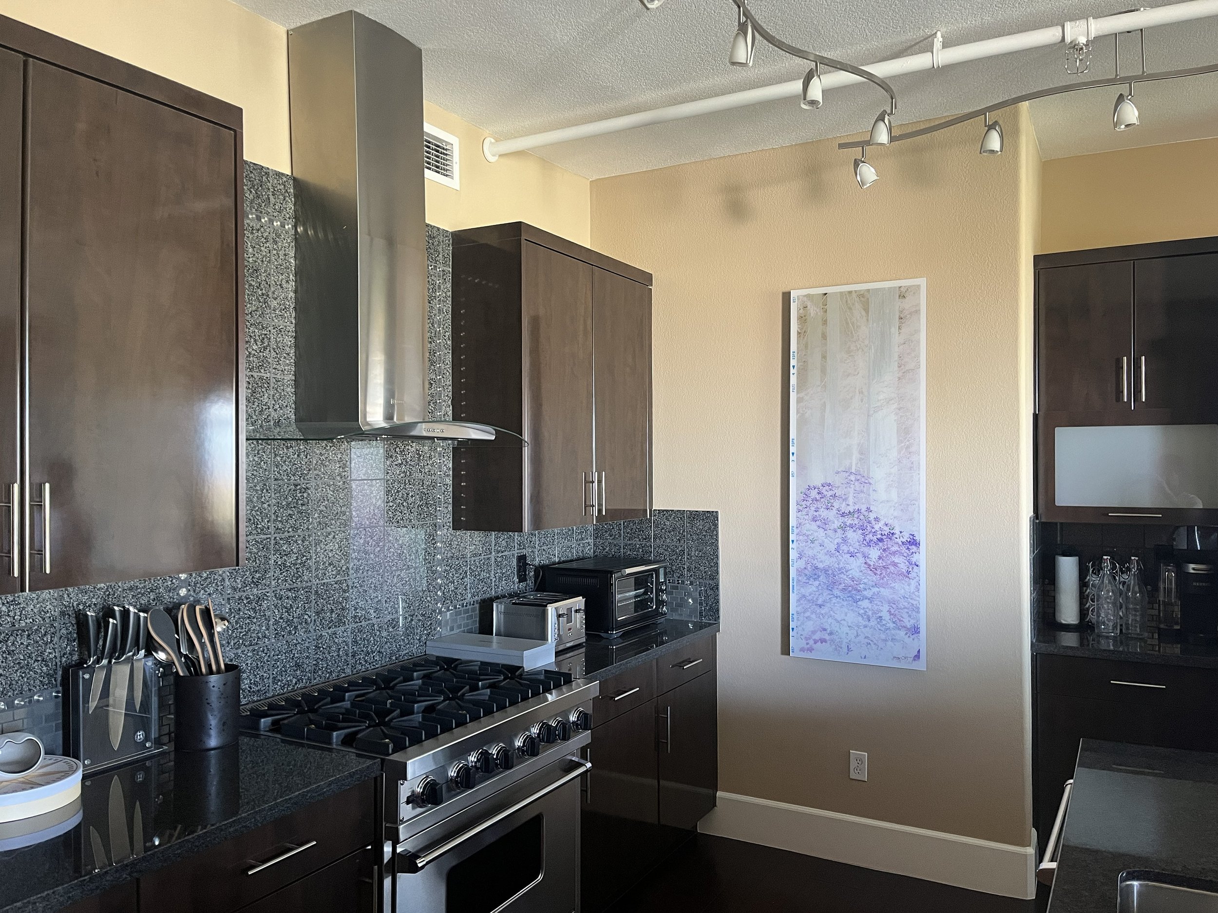 Del Norte Inversion C2 Loft Install 3200.jpg