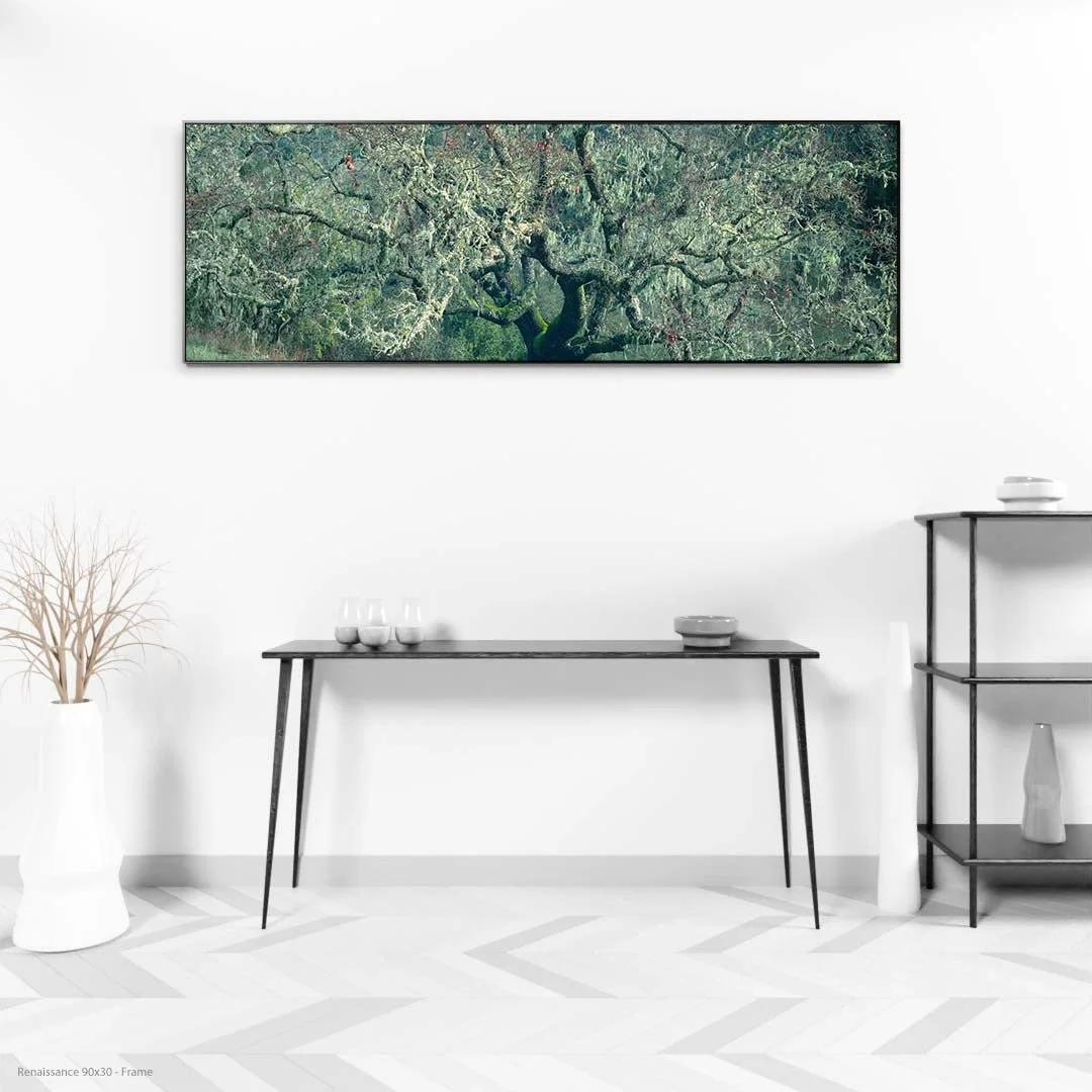 Renaissance90x30-Frame.jpg