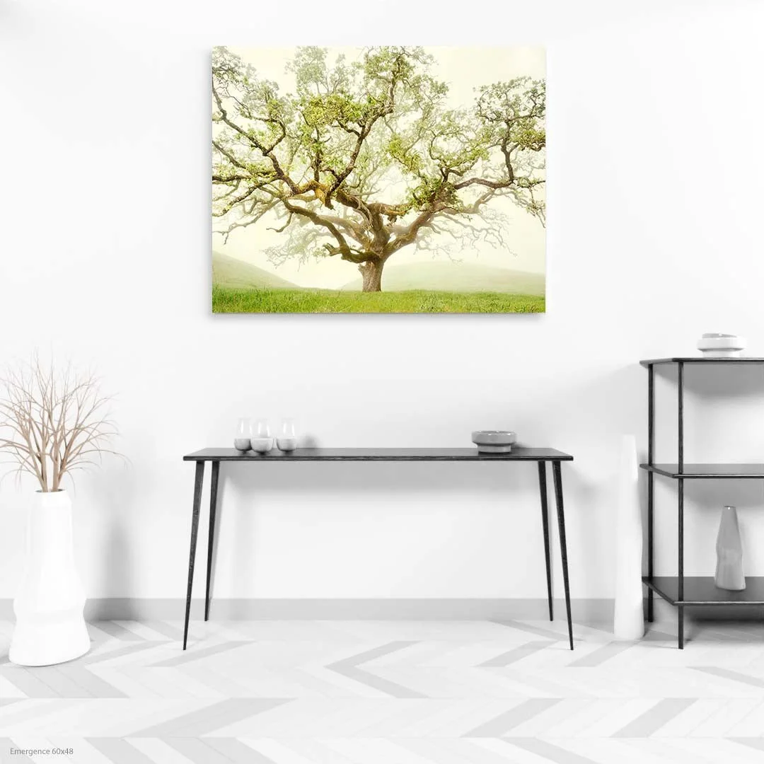 Emergence60x48.jpg
