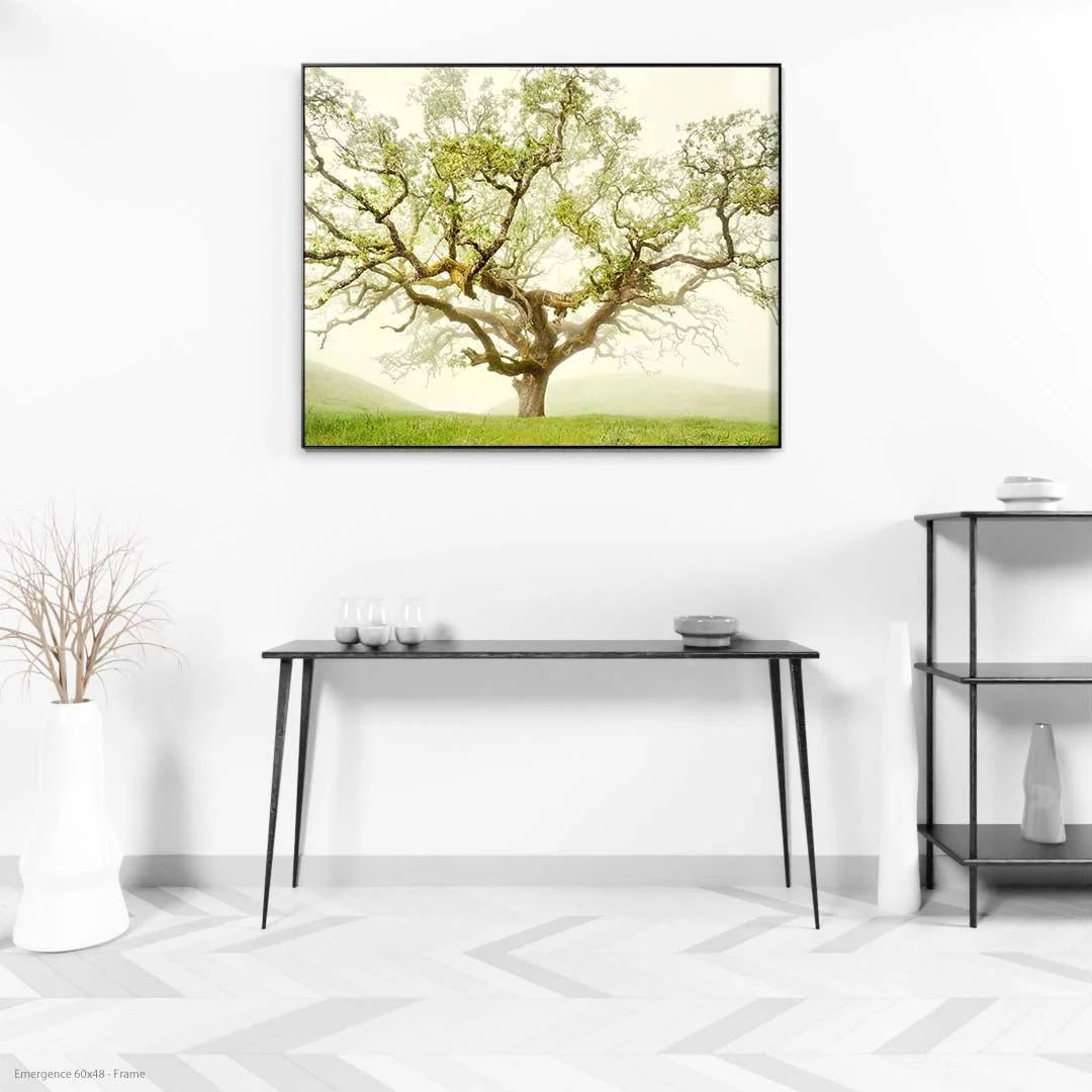 Emergence60x48-Frame.jpg